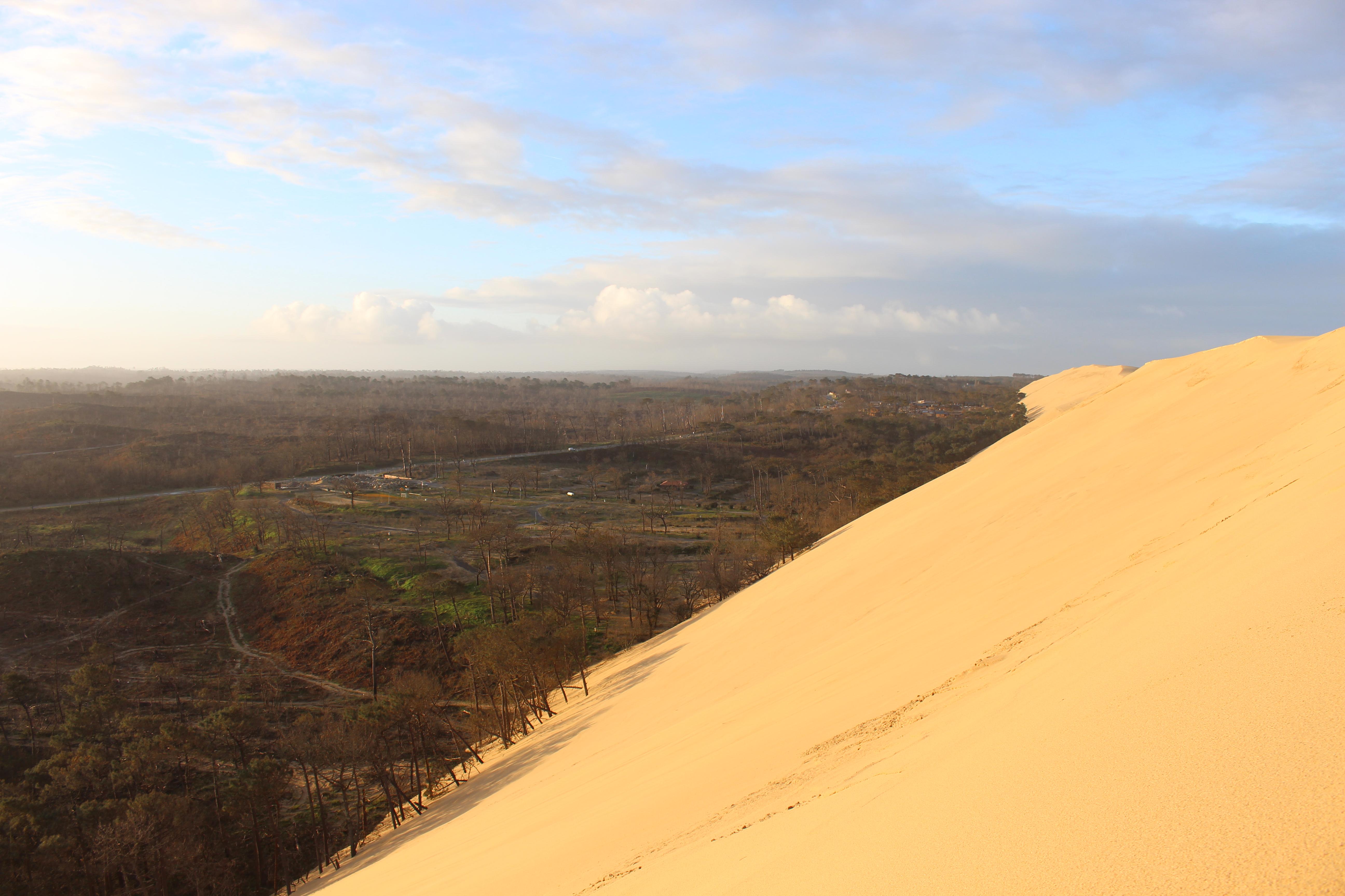 Balade nature : Suivis nature post incendie à la Dune du Pilat