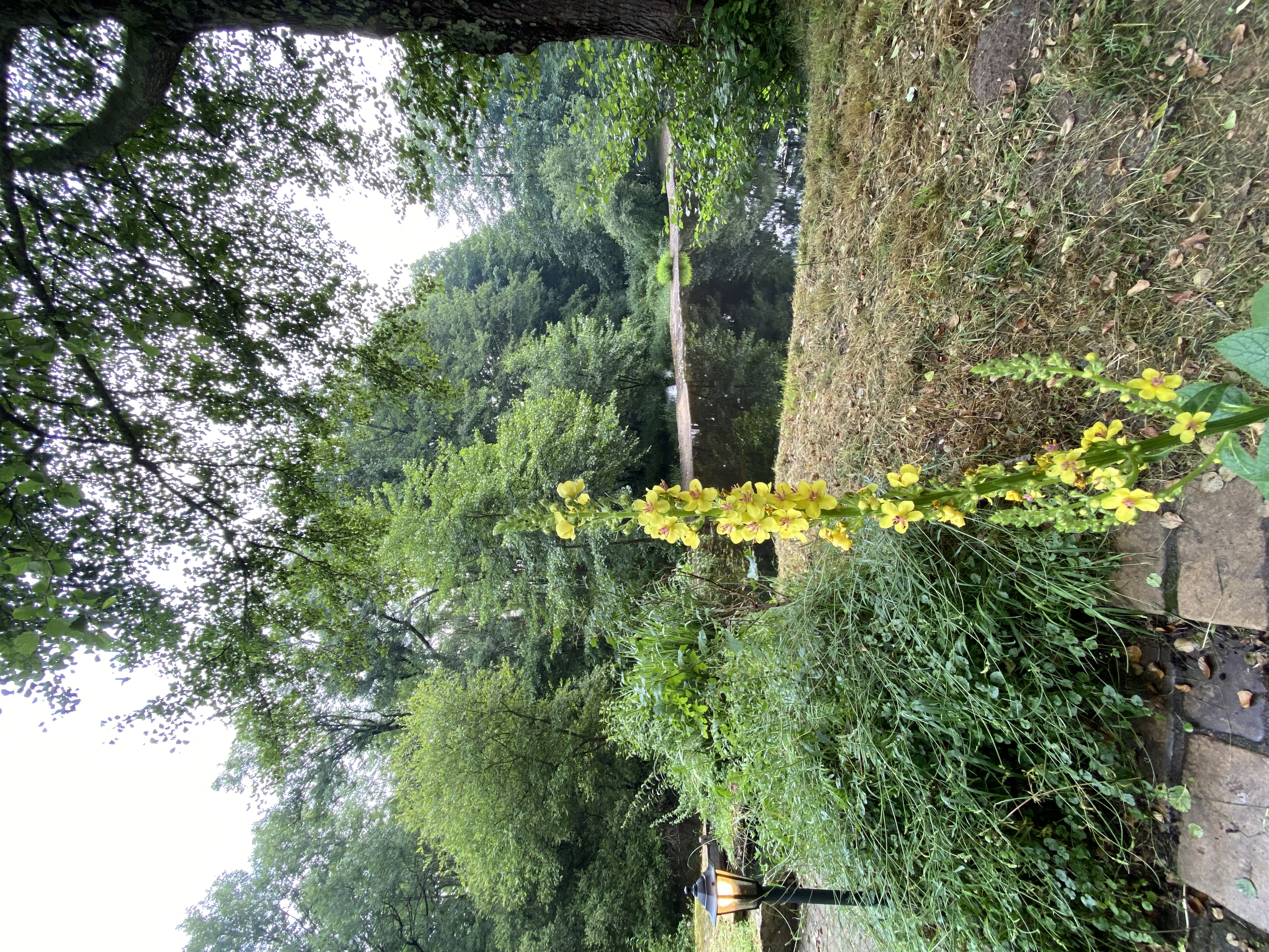 Moulin Imagine - Natural Life, Brigueil-le-Chantre - photo 5