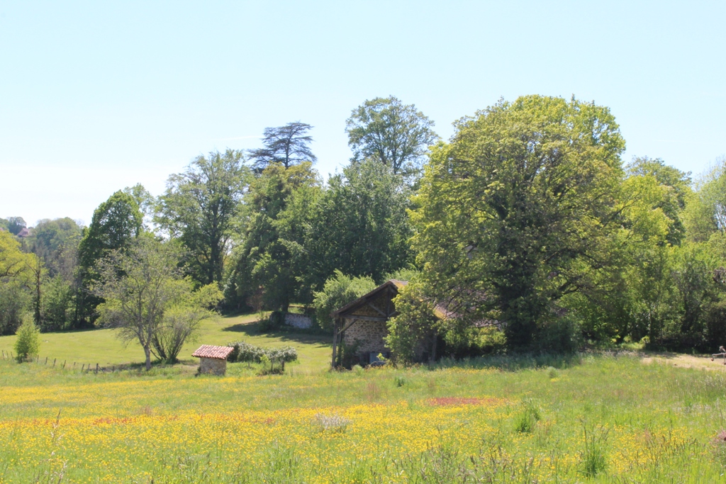 Lande de Saint-Laurent - photo 3
