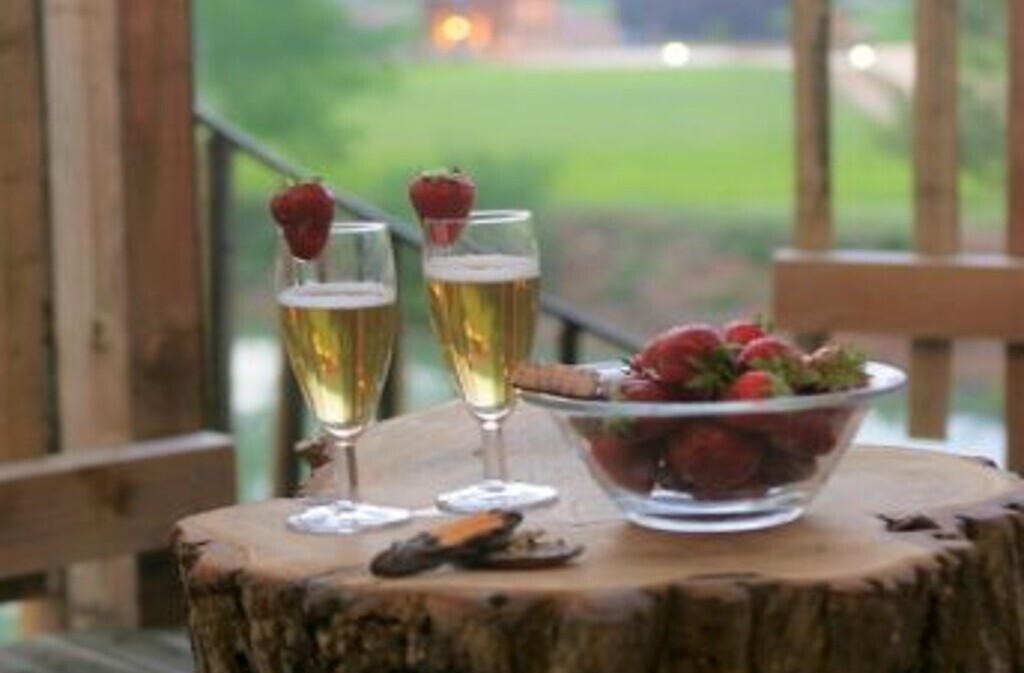 Cabanes perchées dans les arbres, Capdrot - photo 12