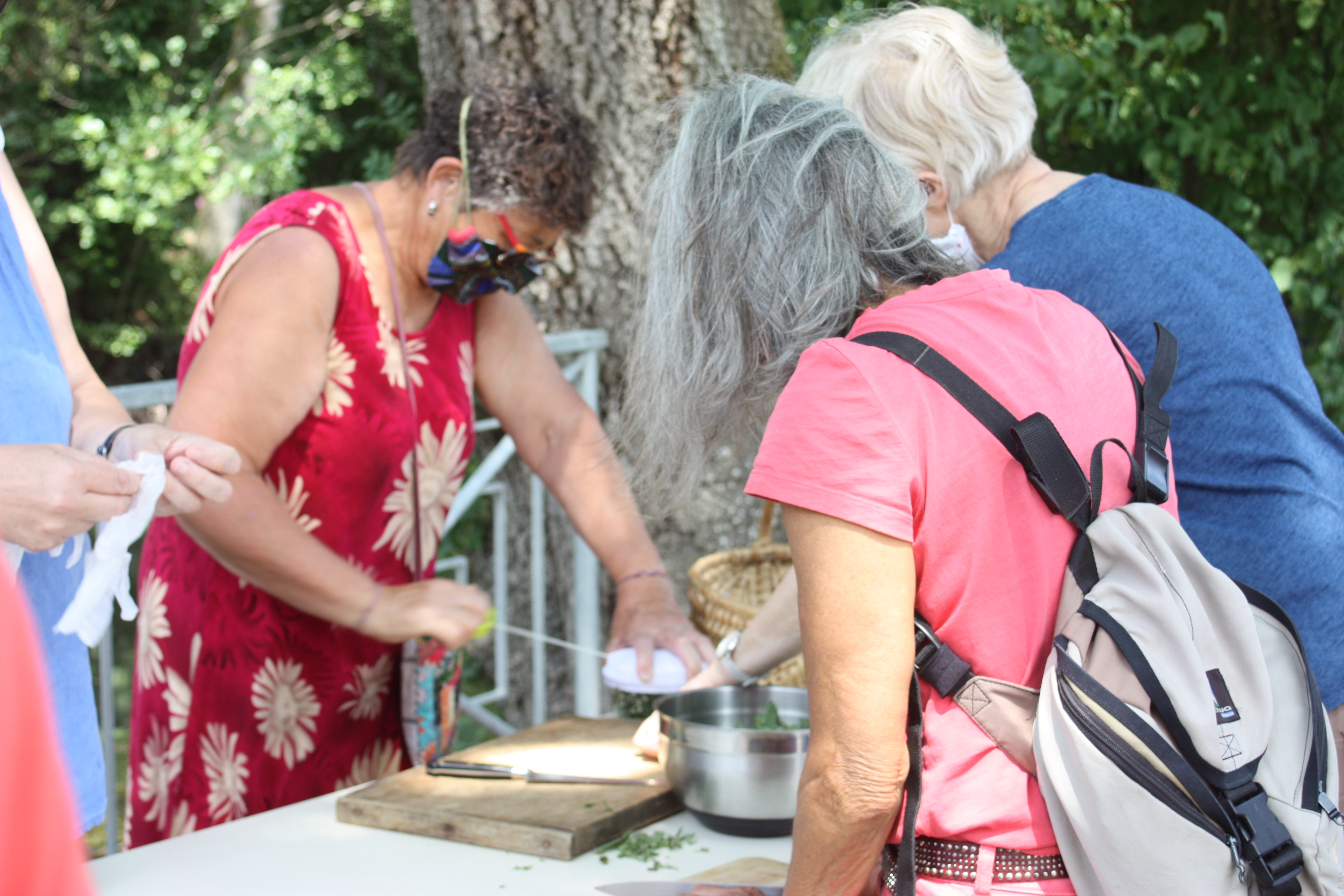 Ateliers - Les plantes dans tous les sens - photo 4