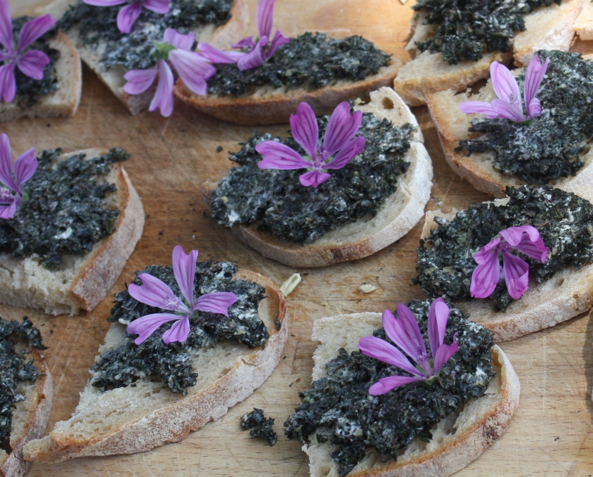 Ateliers - Les plantes dans tous les sens - photo 3