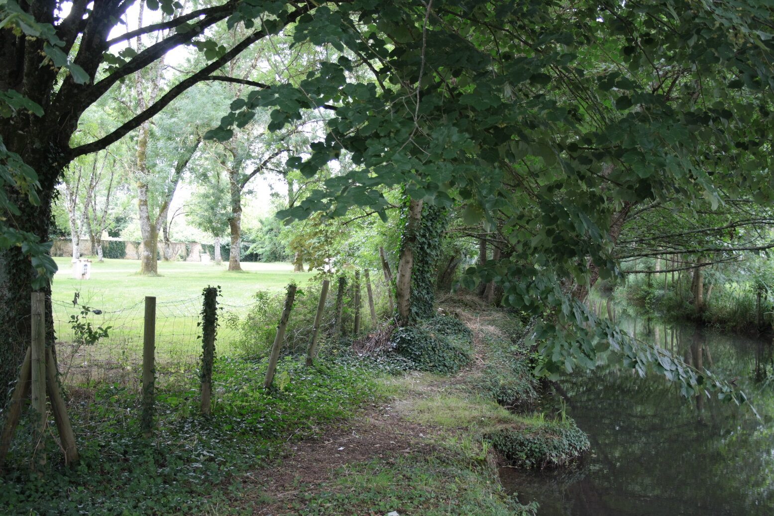 Camping municipal Le Parc - photo 5