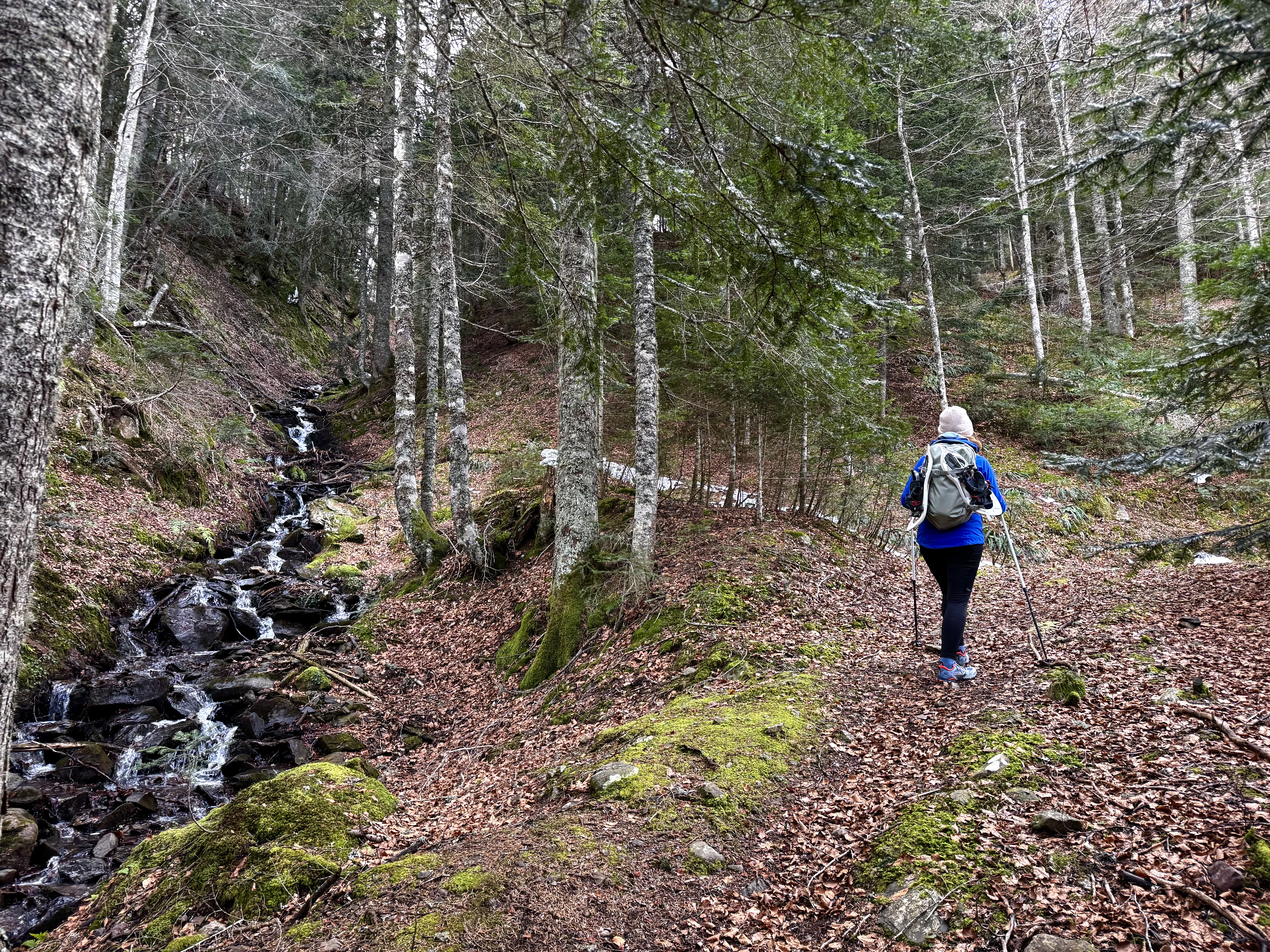 Randonnée sur les traces de la faune sauvage, Bedous - photo 2