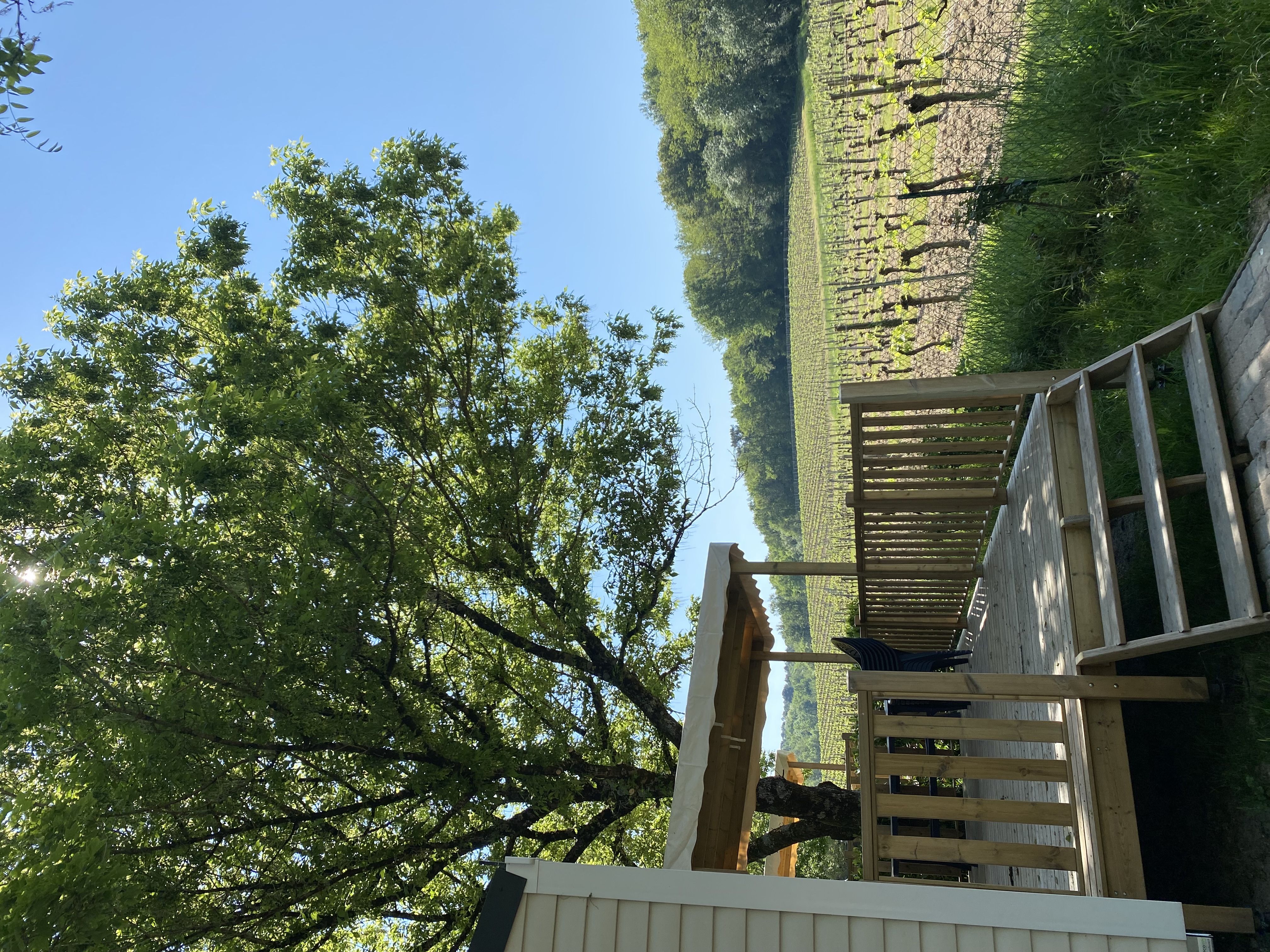 Camping Le Pressoir, Petit-Palais-et-Cornemps - photo 9
