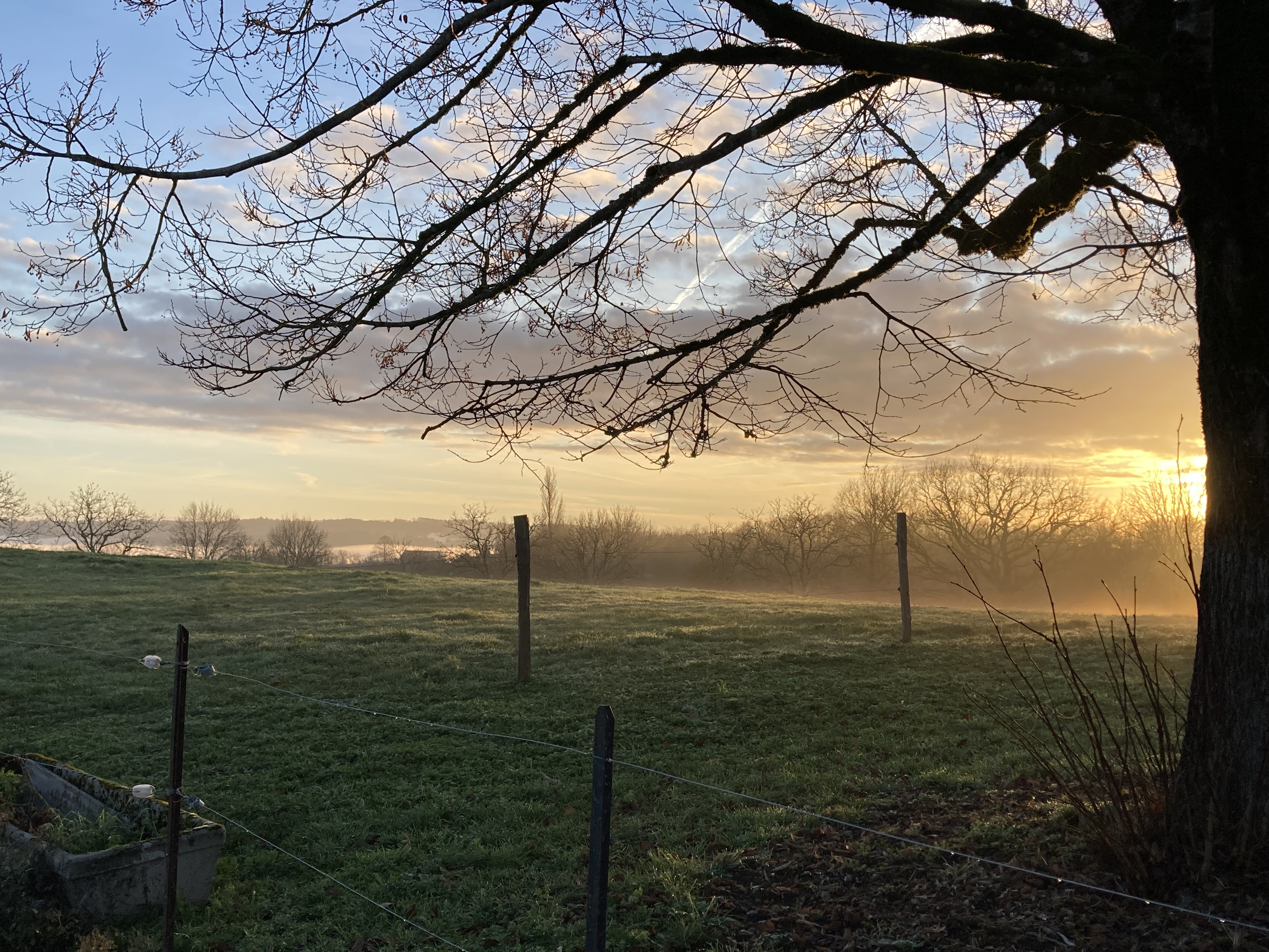 La Petitoune du Bournazel, Albignac - photo 14
