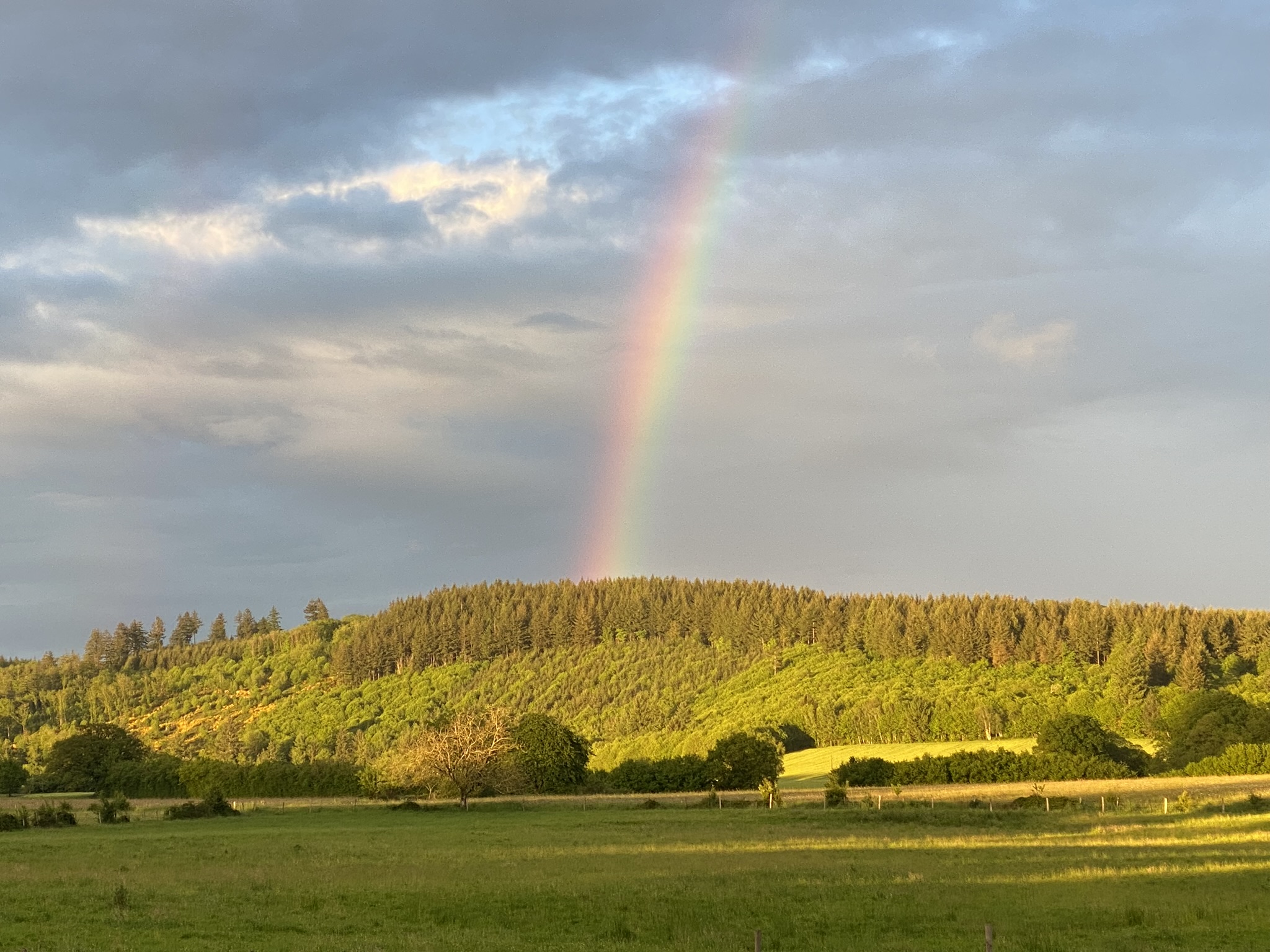 Roulotte 360°Nature, Champnétery - photo 3