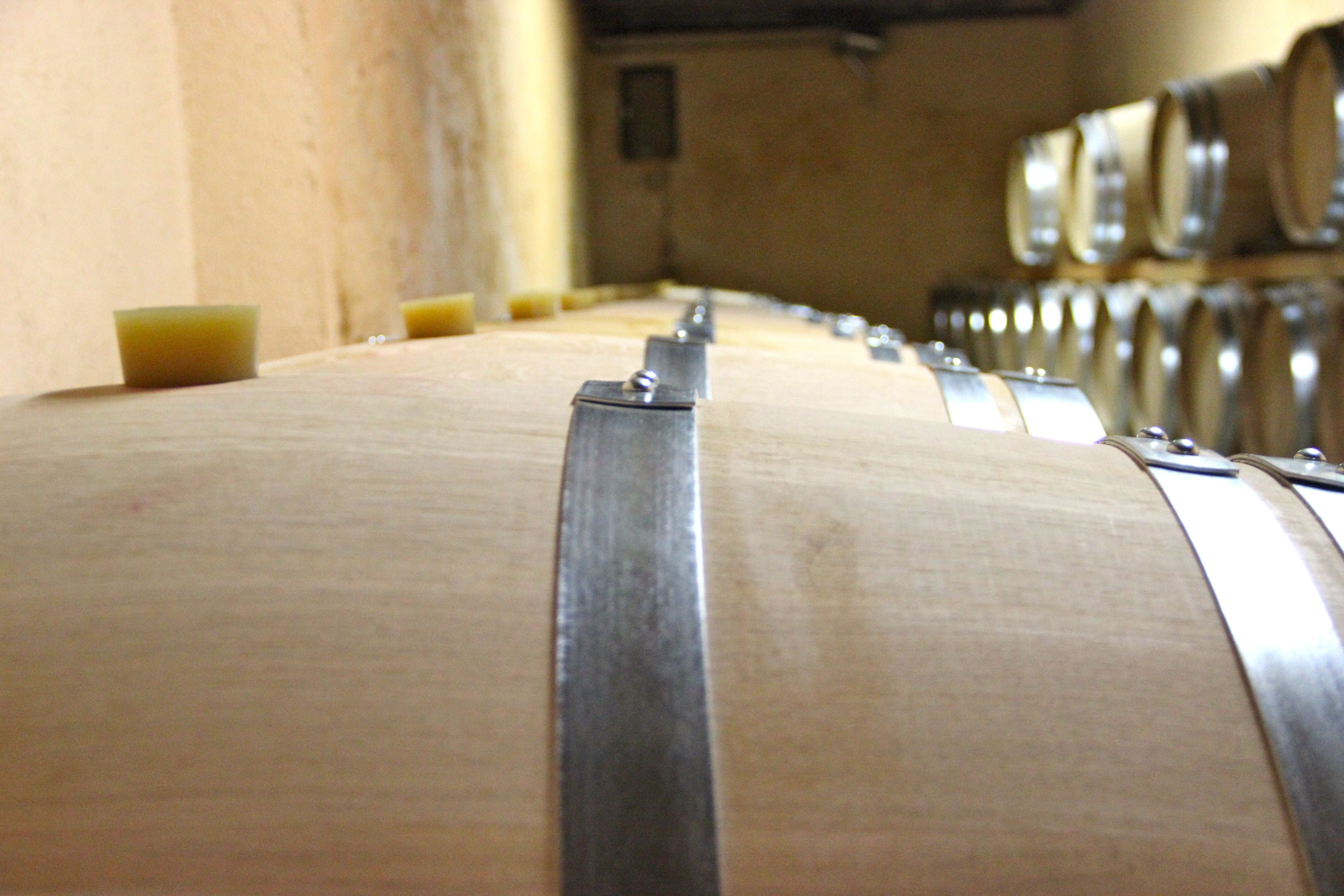 Château Bernateau - photo 2