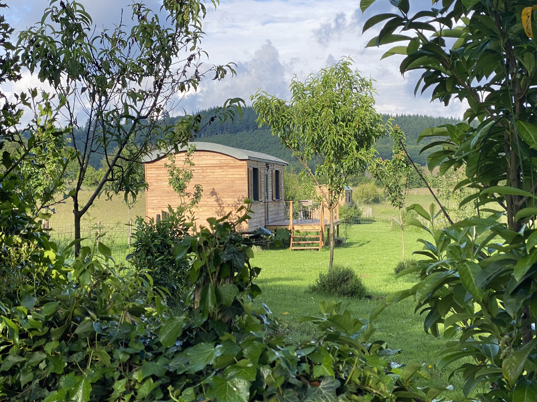 La roulotte du verger, Champnétery - photo 13