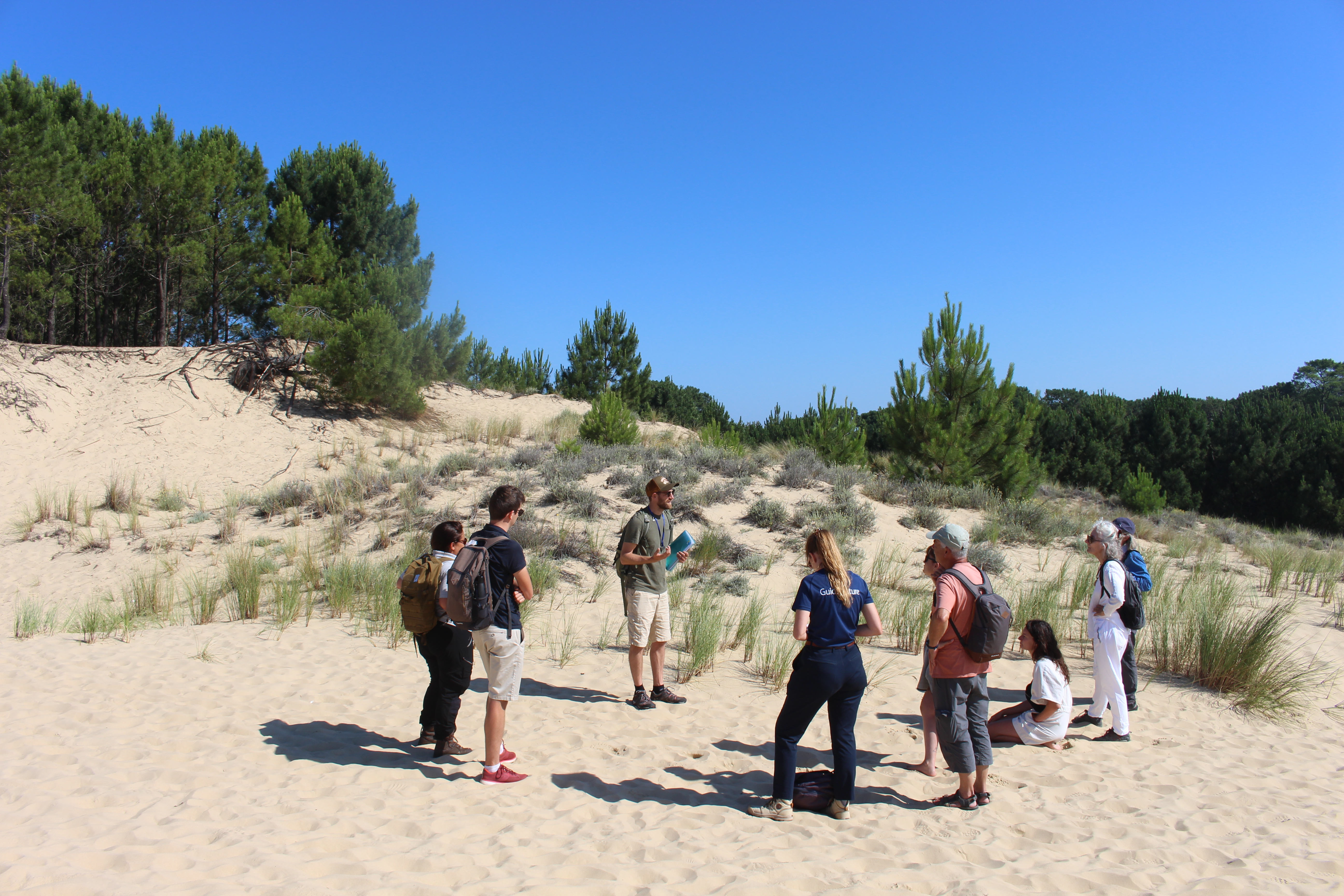 Balade nature : Plantes de sable et de vent, la flore sauvage de la dune du Pilat