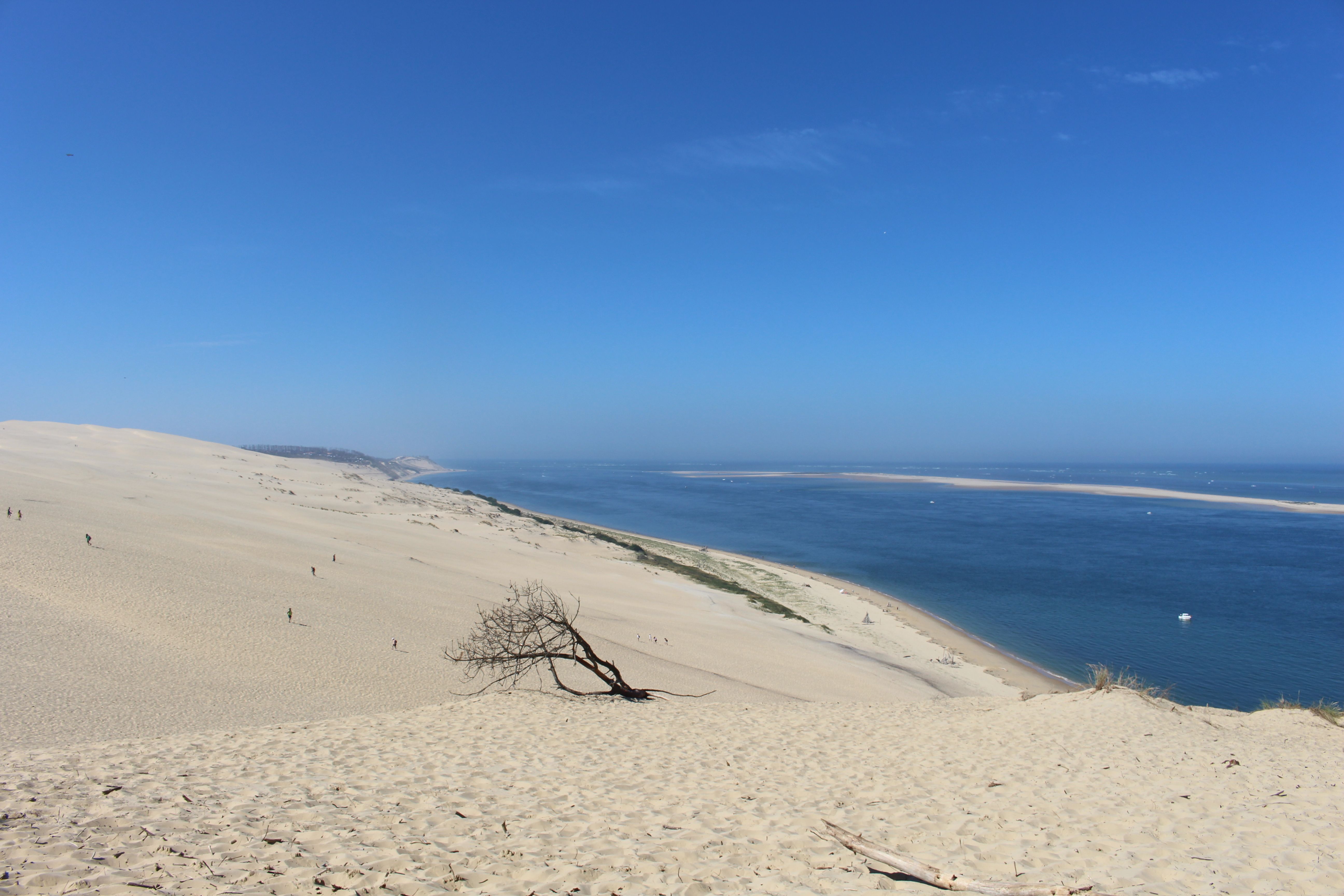 Les Pistes de Robin : les secrets de la Dune du Pilat, La Teste-de-Buch - photo 3