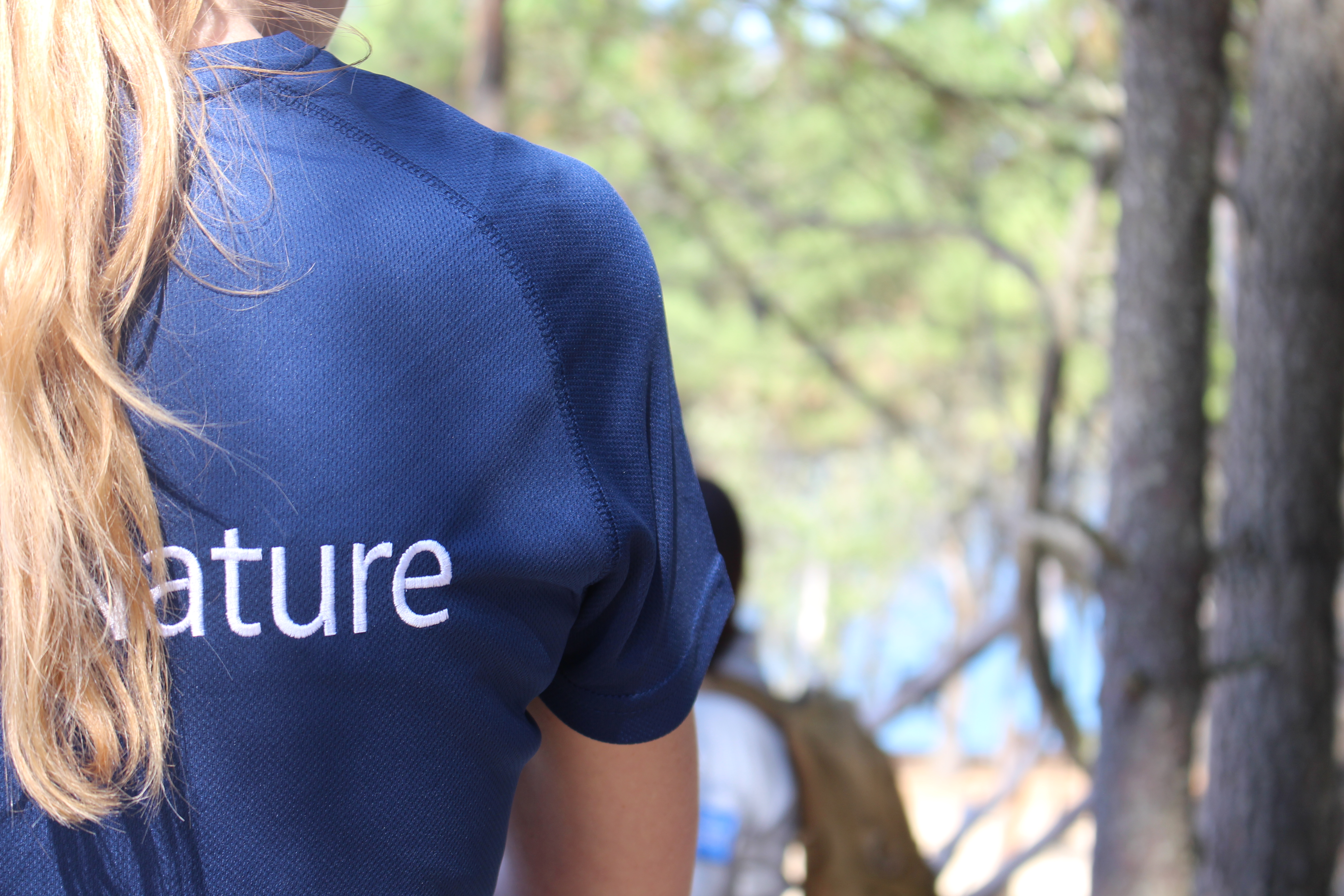 Balade nature : Plantes de sable et de vent, la flore sauvage de la dune du Pilat