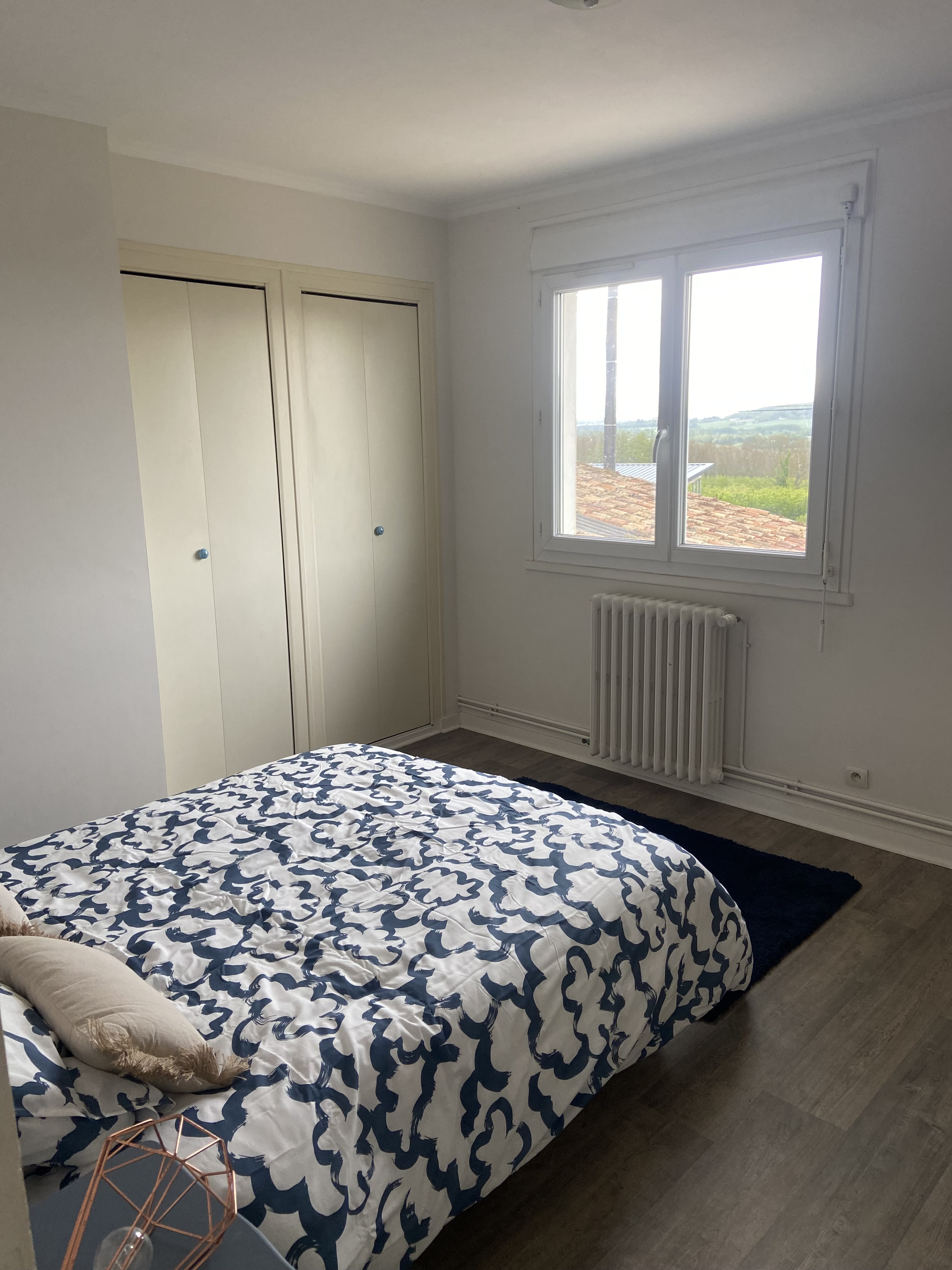 Gite des Savoies, Vouneuil-sur-Vienne - photo 5