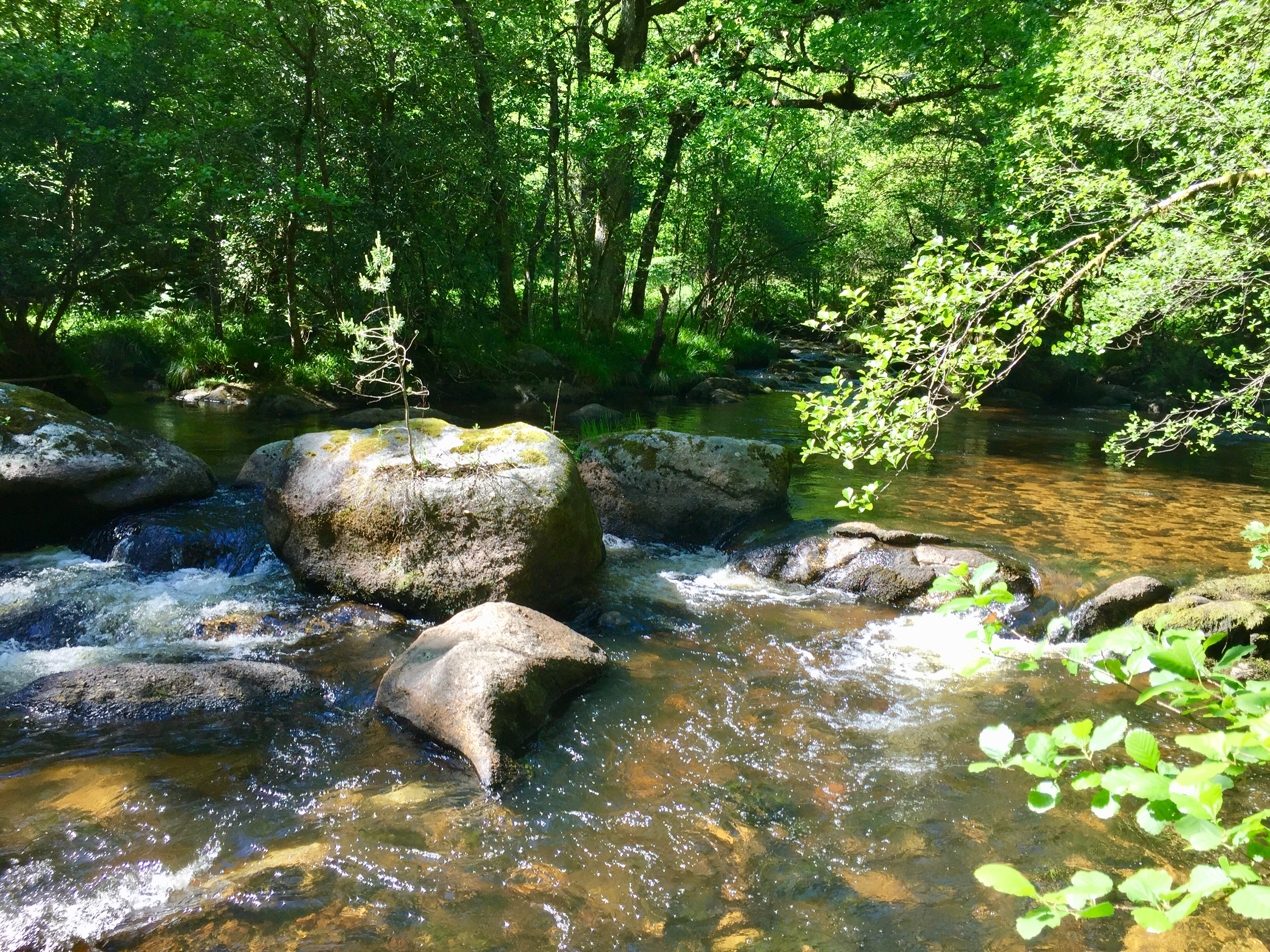 Les Rochers de Négremont