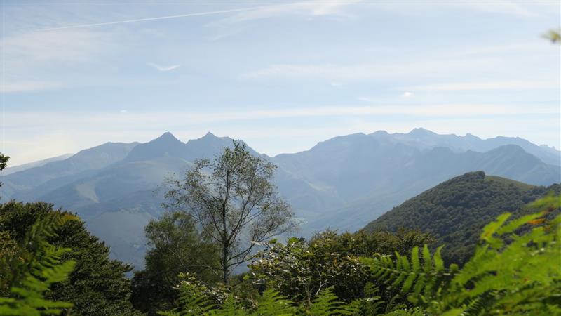 N°41 Chemin de Pirait