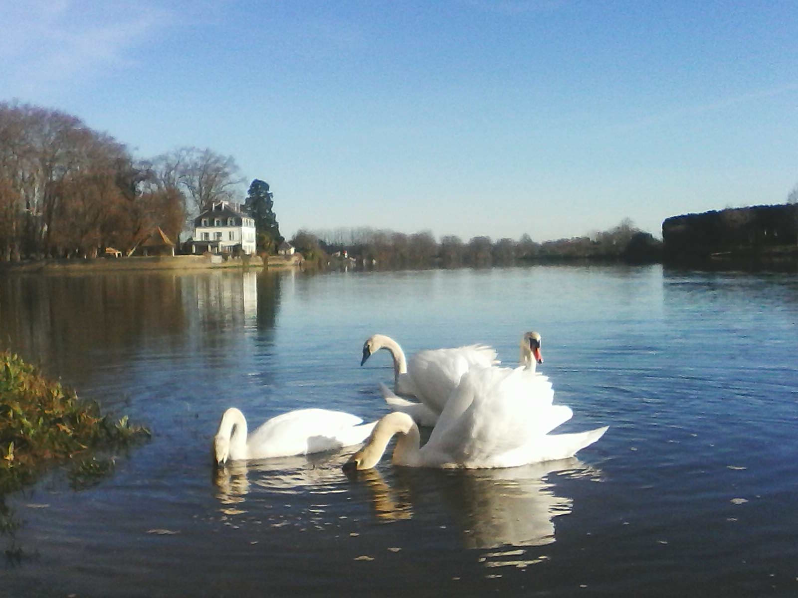 Maison Miey, Sainte-Marie-de-Gosse