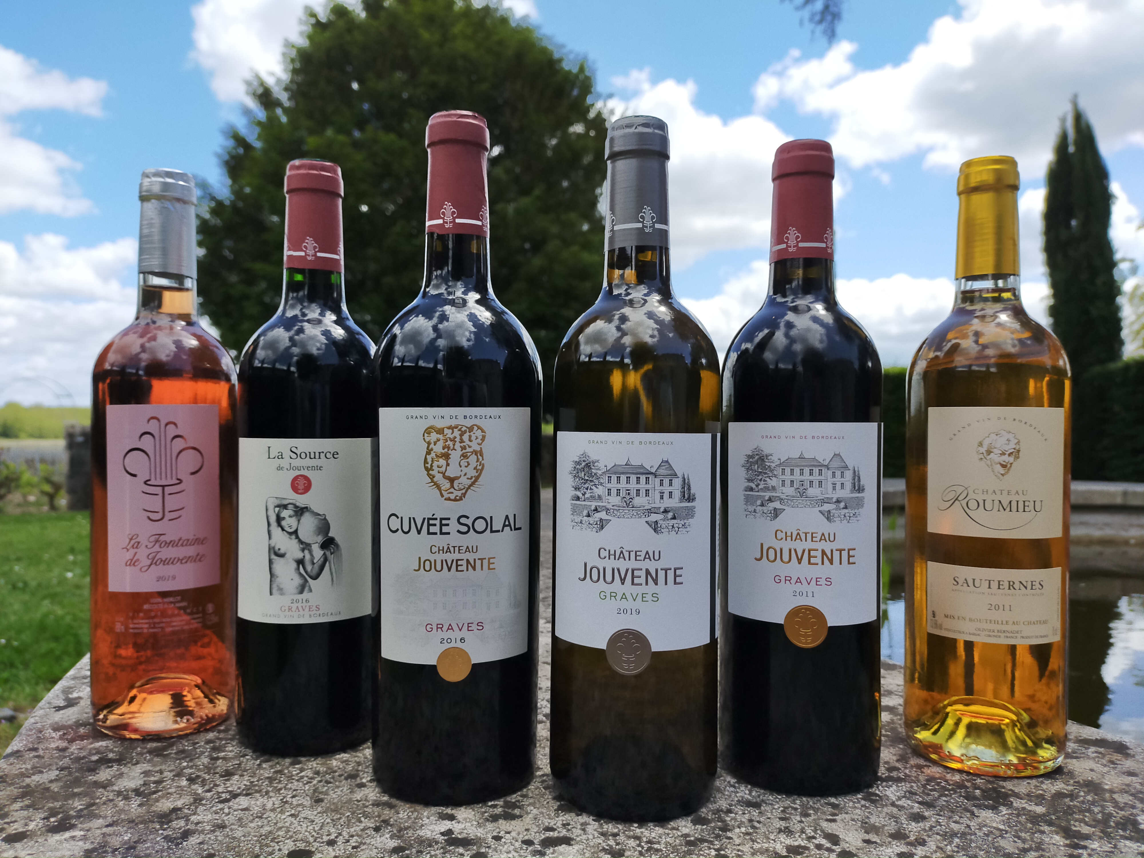 Château Jouvente - photo 3