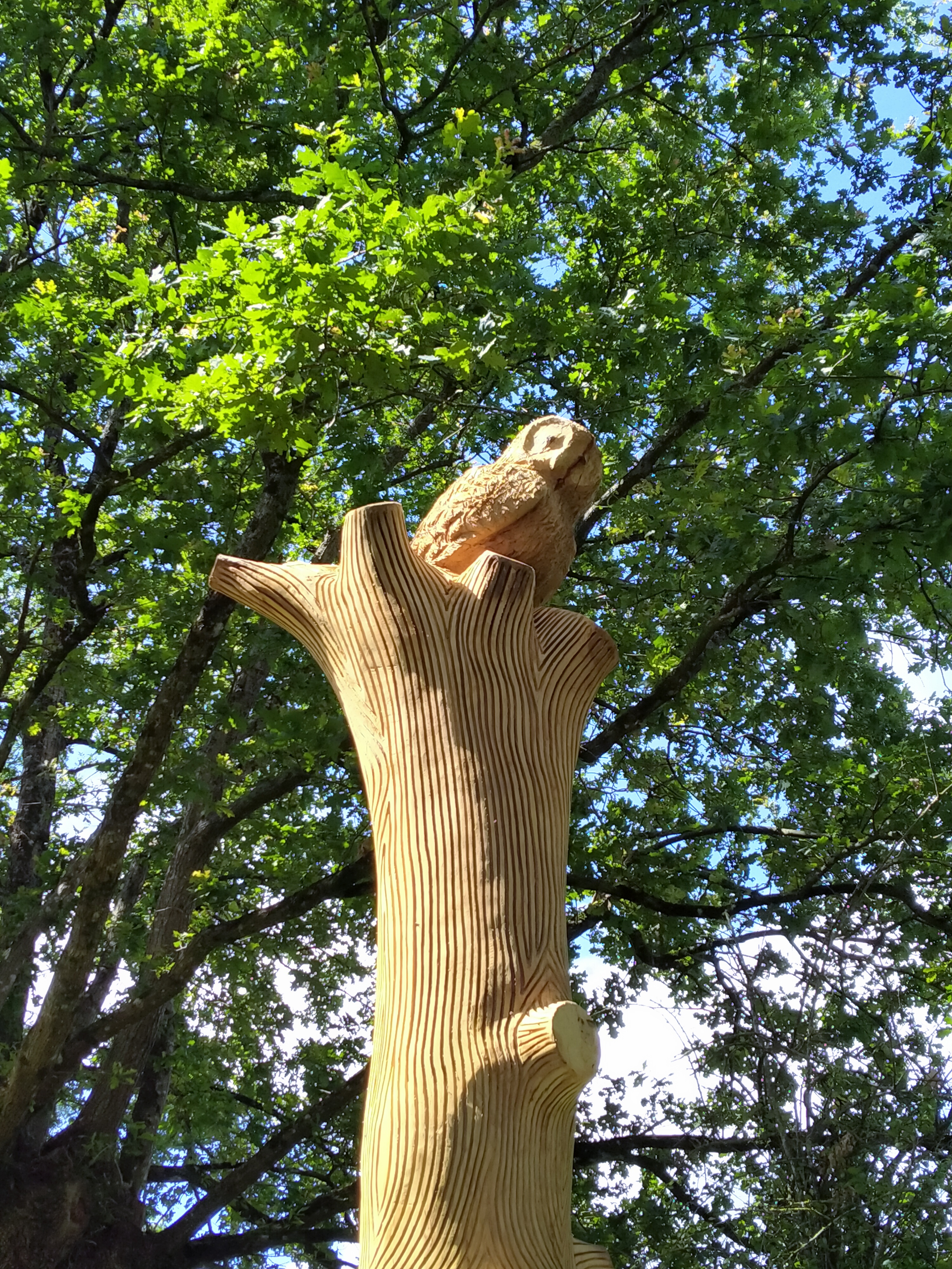 Réserve naturelle régionale du Bocage des Antonins, Saint-Marc-la-Lande