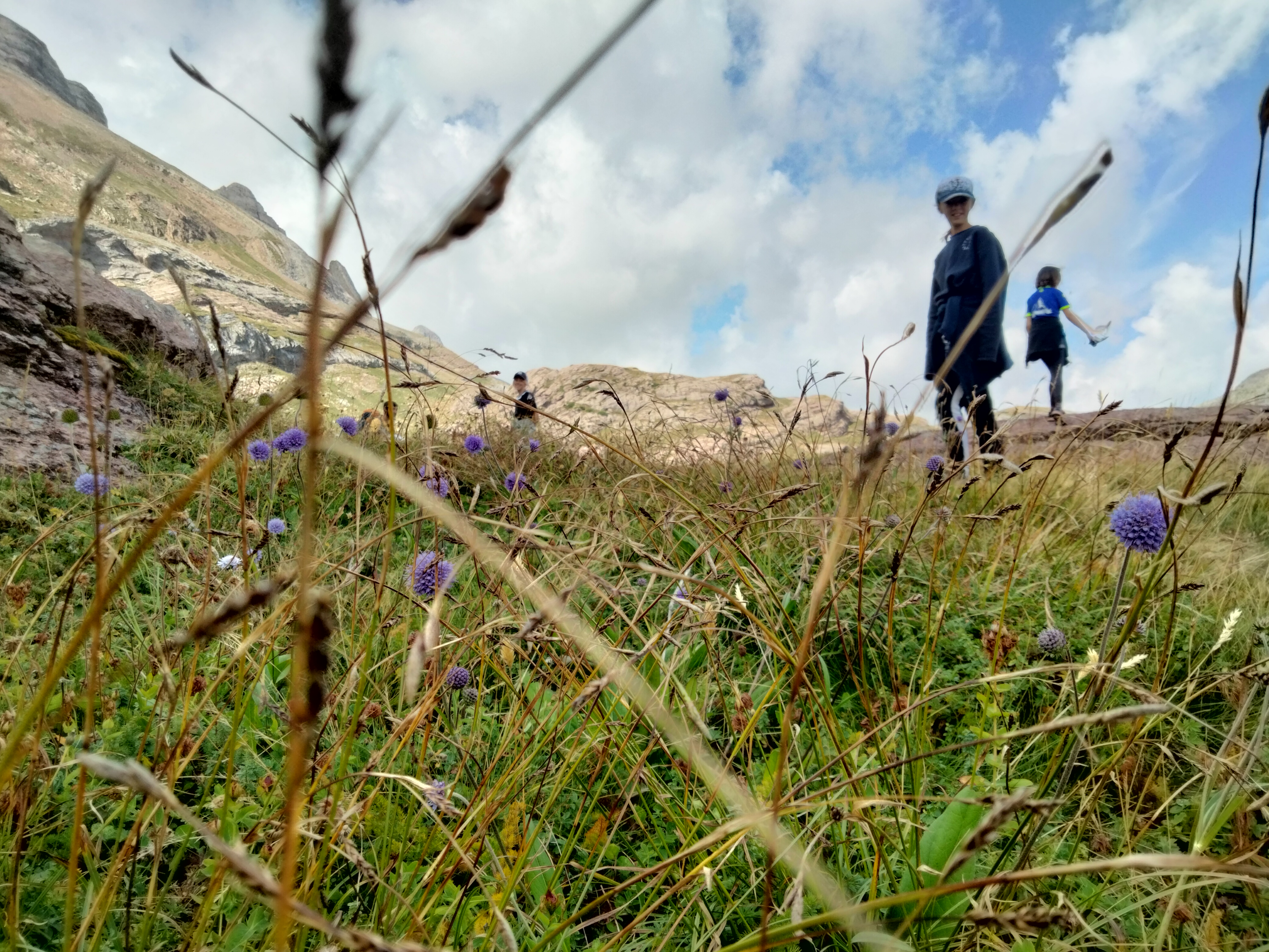 Au Voyage du Lys - photo 2