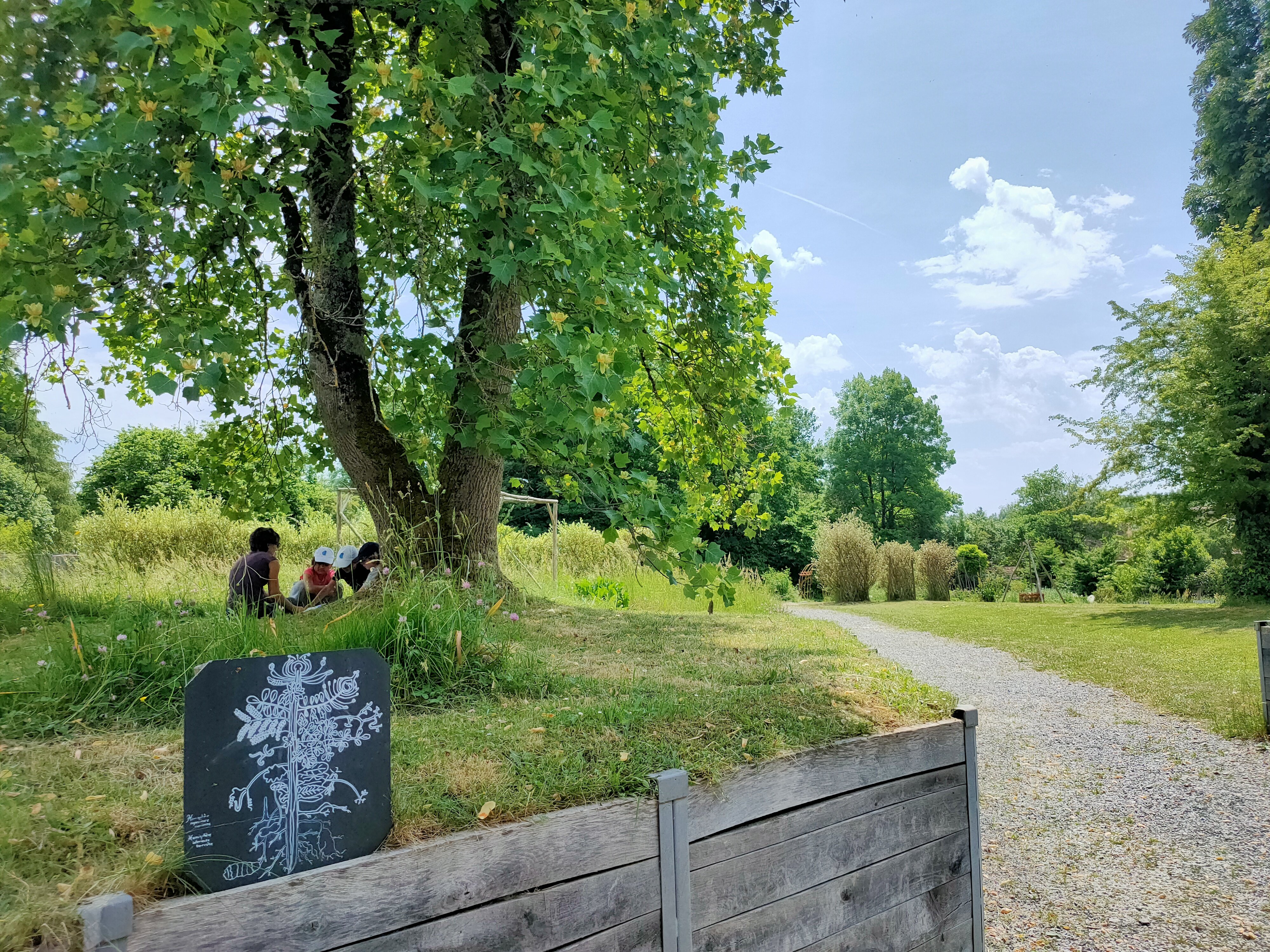 Musée Cécile Sabourdy, Vicq-sur-Breuilh - photo 2