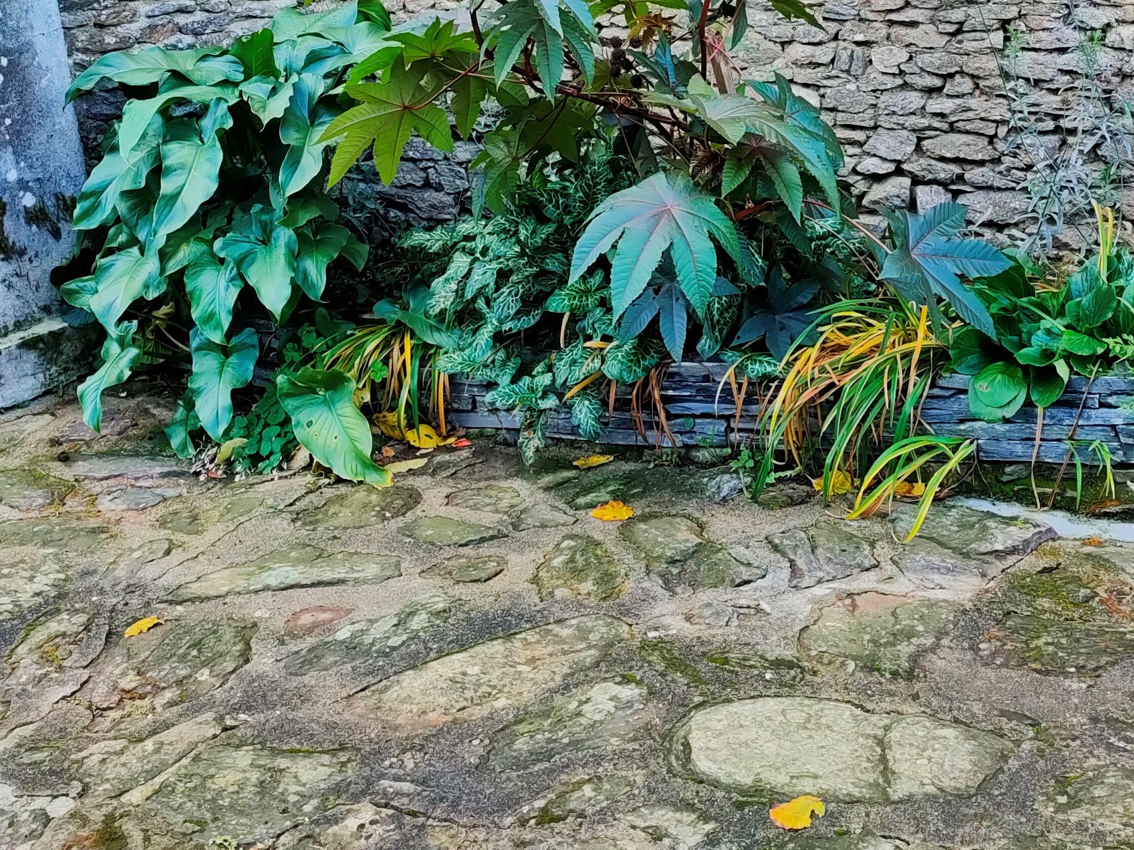 La Belle Aventure, Fresselines