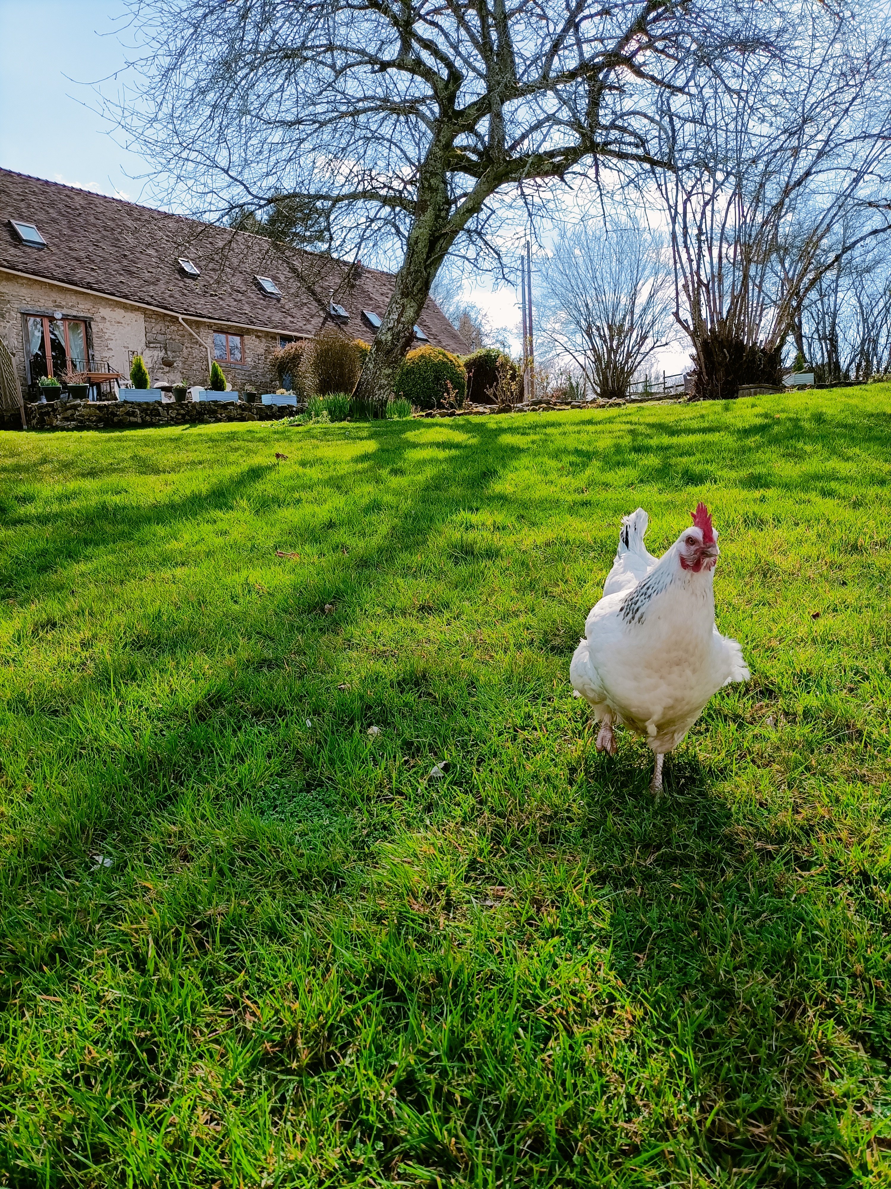 Les Marronniers Gîte 1 " Les Roches " 2/5 personnes, Crozant - photo 5