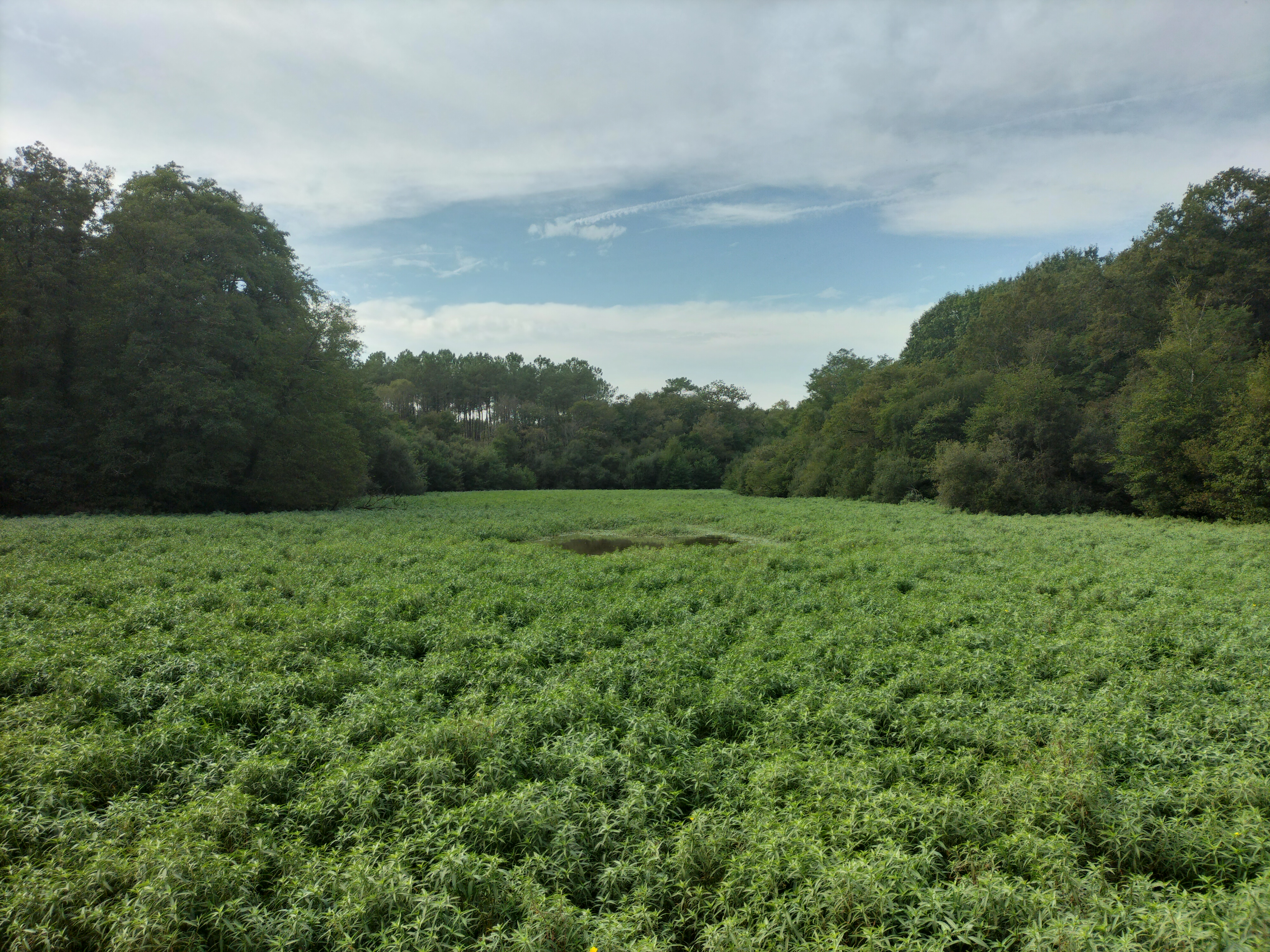 Sentier découverte du domaine de Garanx, Pouillon - photo 2