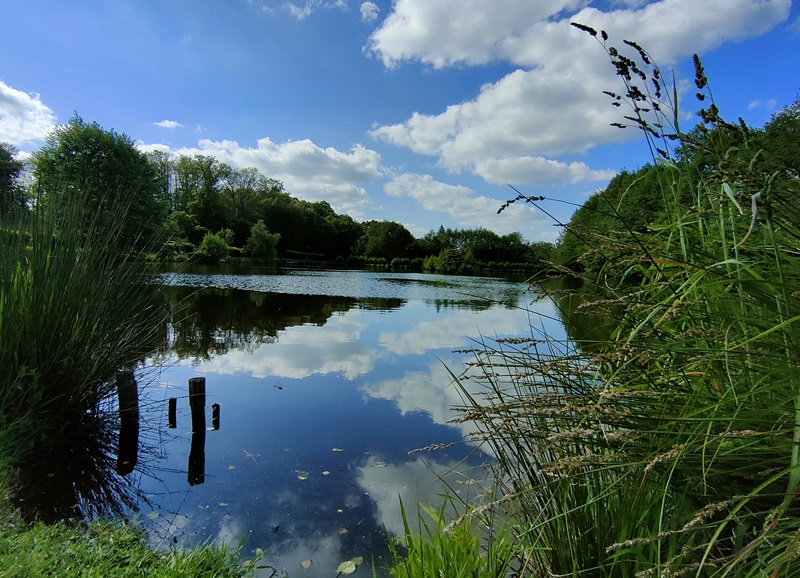Le gîte du Planchon - photo 4