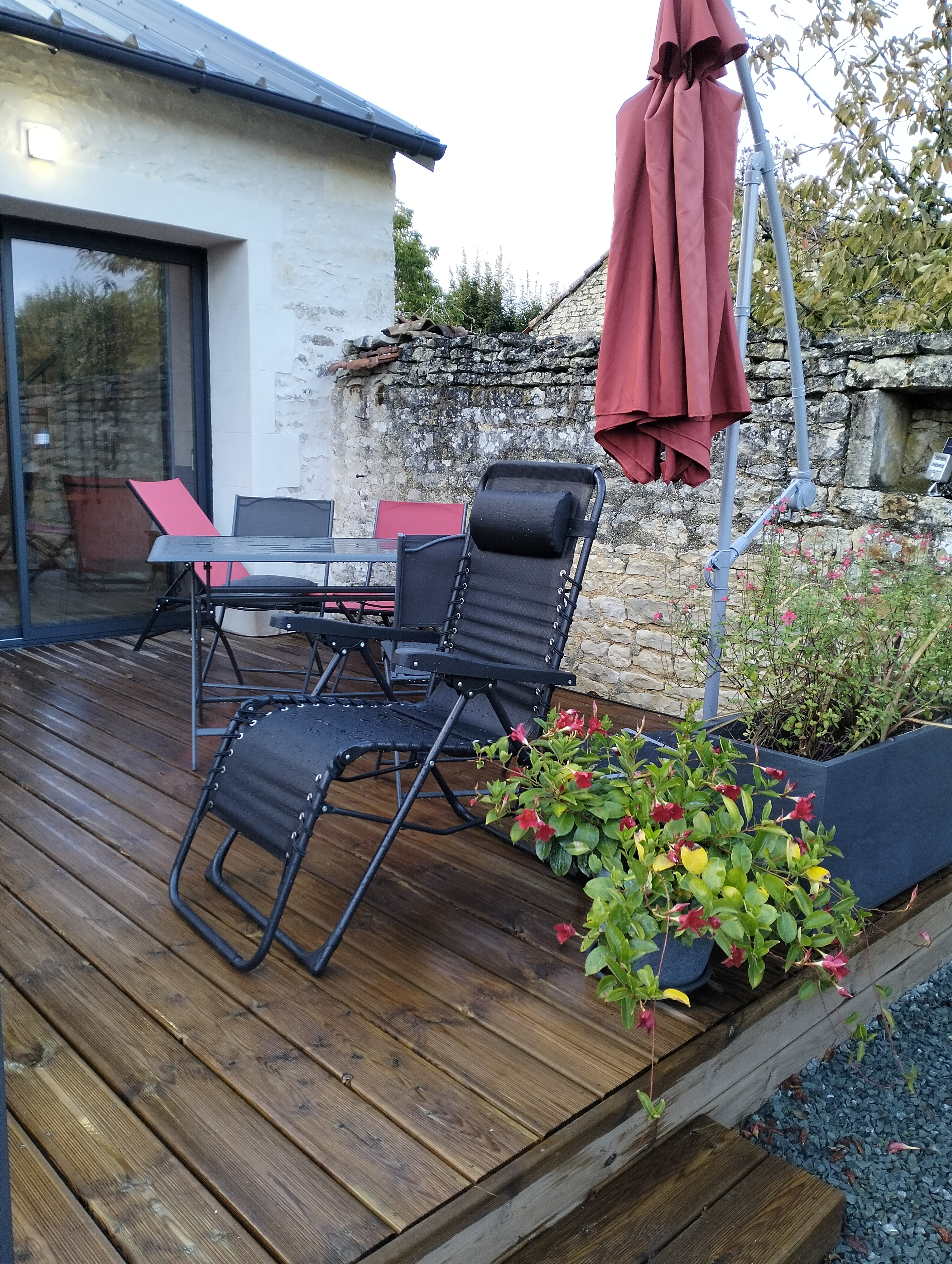 L'Arbre de Soie - Albizia - photo 2