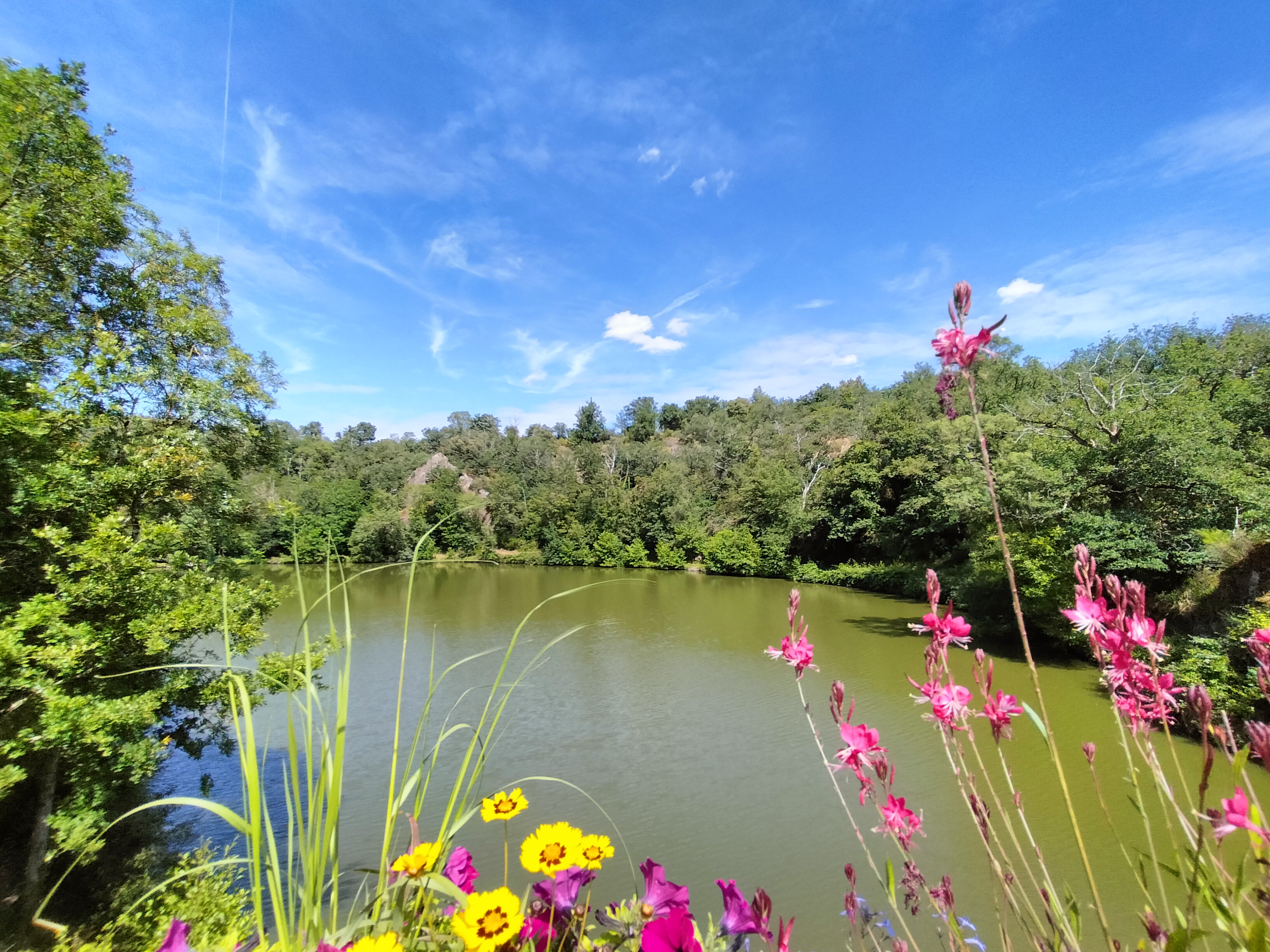 Lac d'Hautibus, Argentonnay - photo 11
