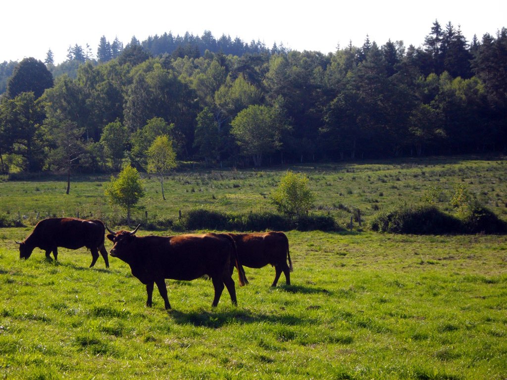 Vies et logis d’antan, Lignareix - photo 4