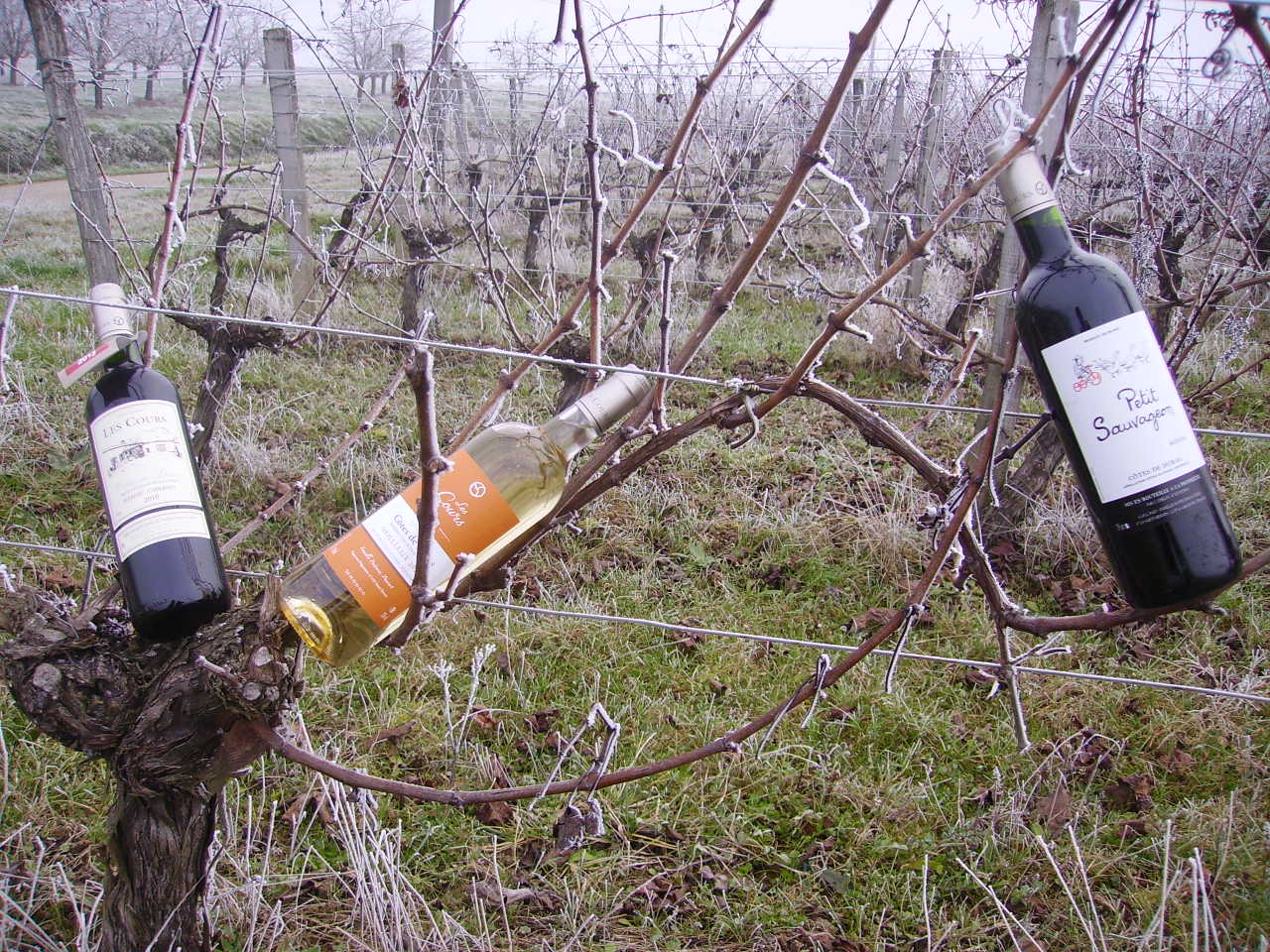 Le Bonhomme Richard - Les Cours - SARL FASY - photo 3