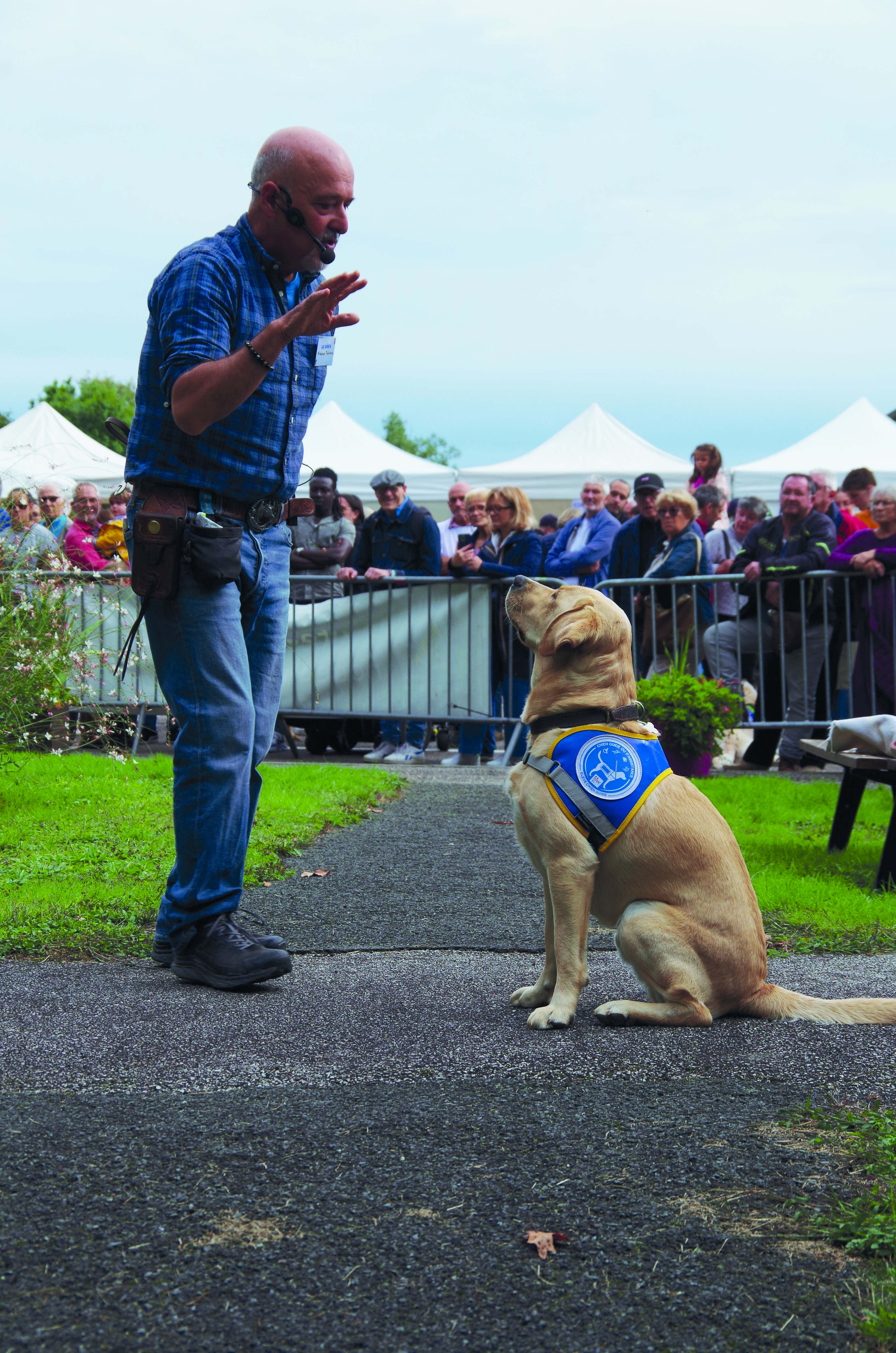 La Journée des chiens guides