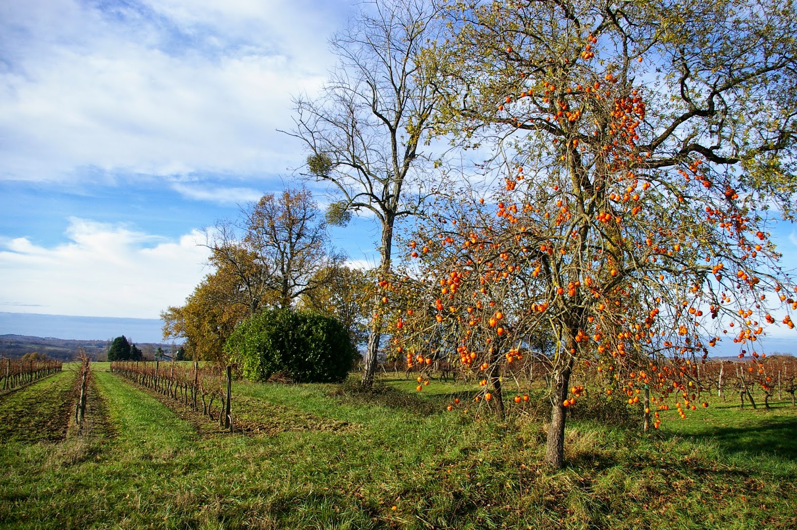 Boucle du Réolais, La Réole