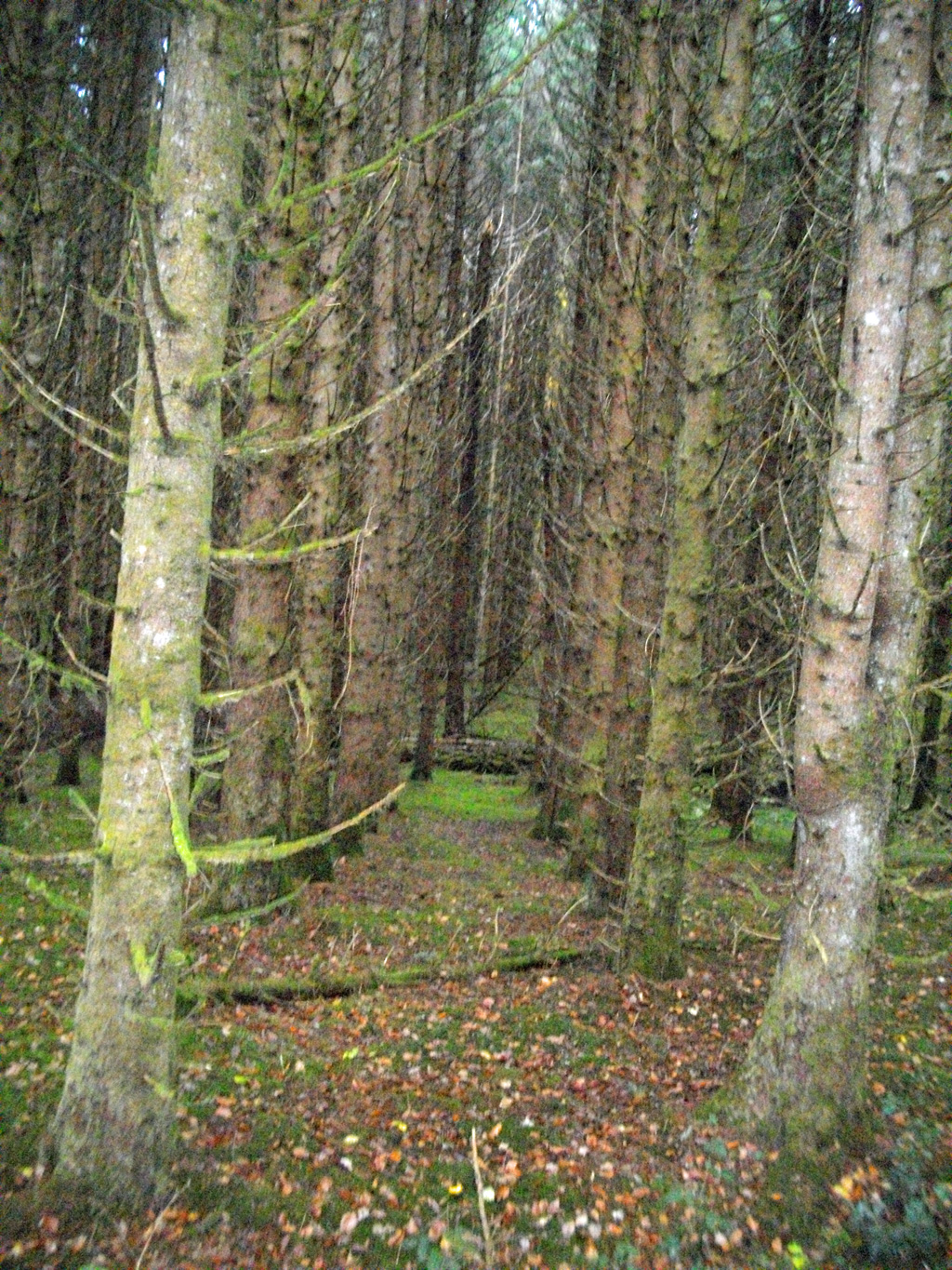 Au fil du granite, Chaveroche - photo 5