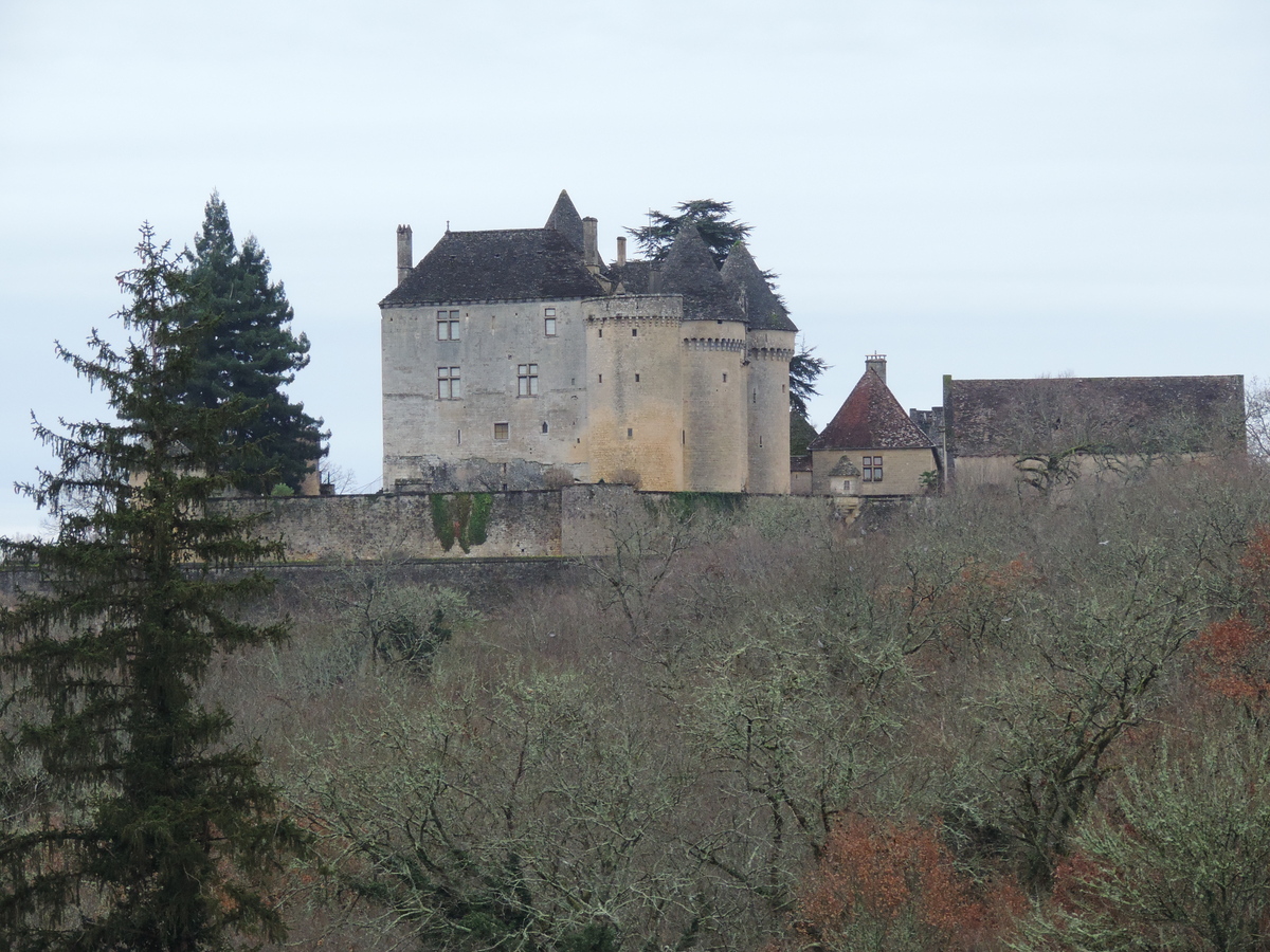 Boucle de Fénelon