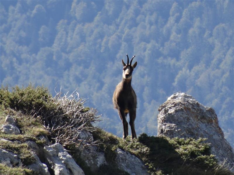 CPIE Pays Basque 