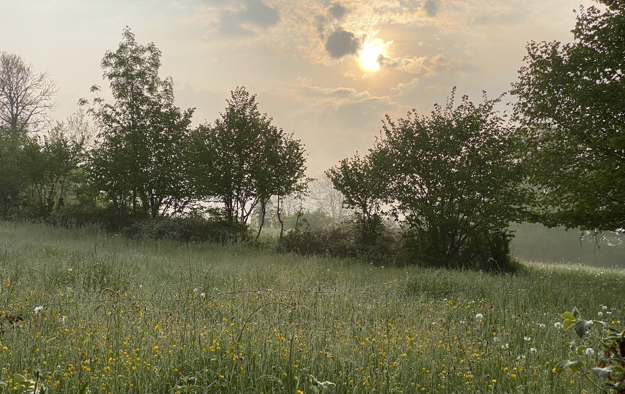 La Maison de Crouzat, Issoudun-Létrieix - photo 16