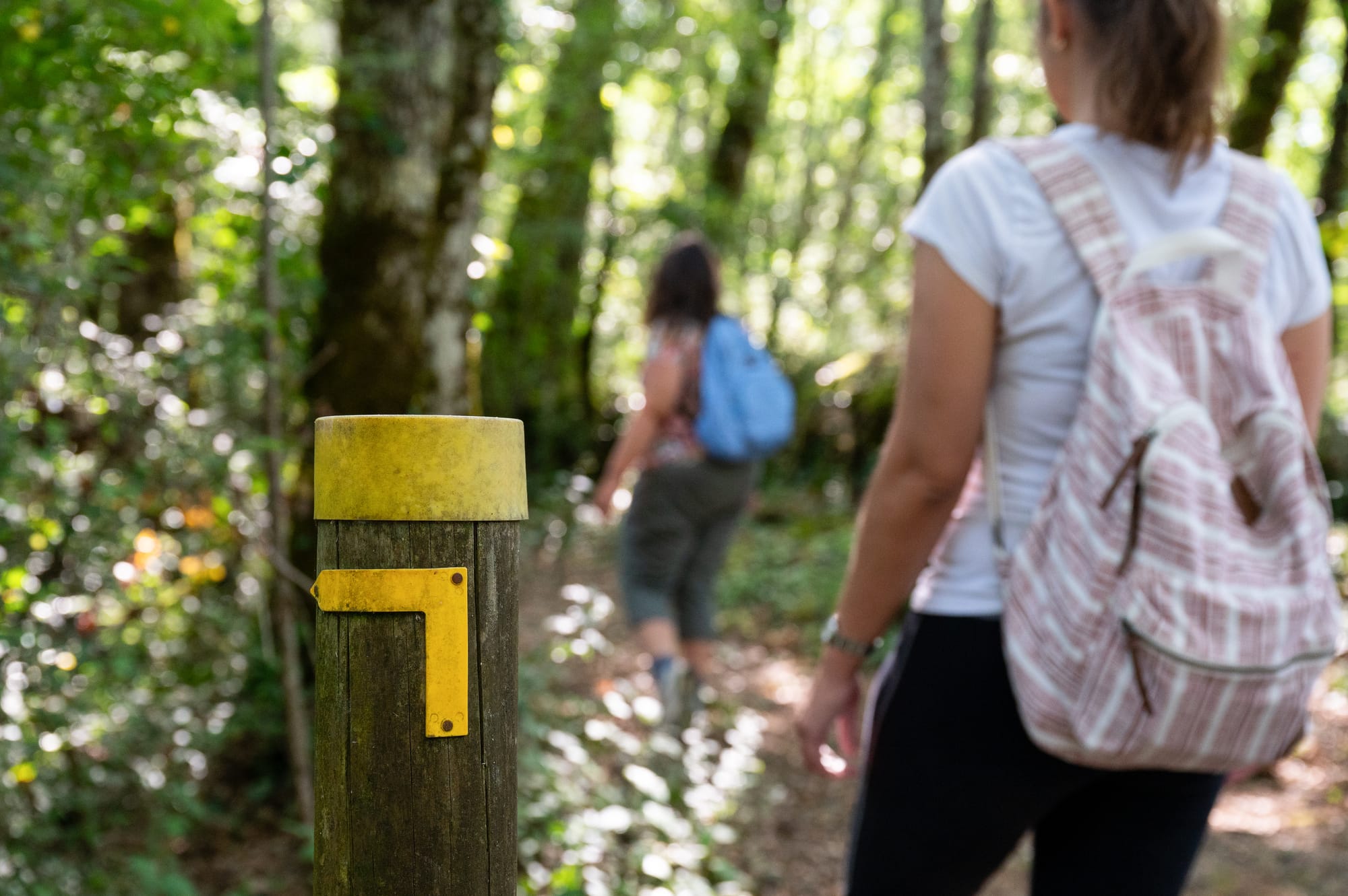 Boucle du Chateau de la Filolie n° 30 / Coly-Saint Amand, Coly-Saint-Amand