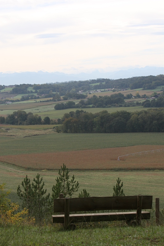 A Pimbo, circuit de Sensacq, Pimbo - photo 2