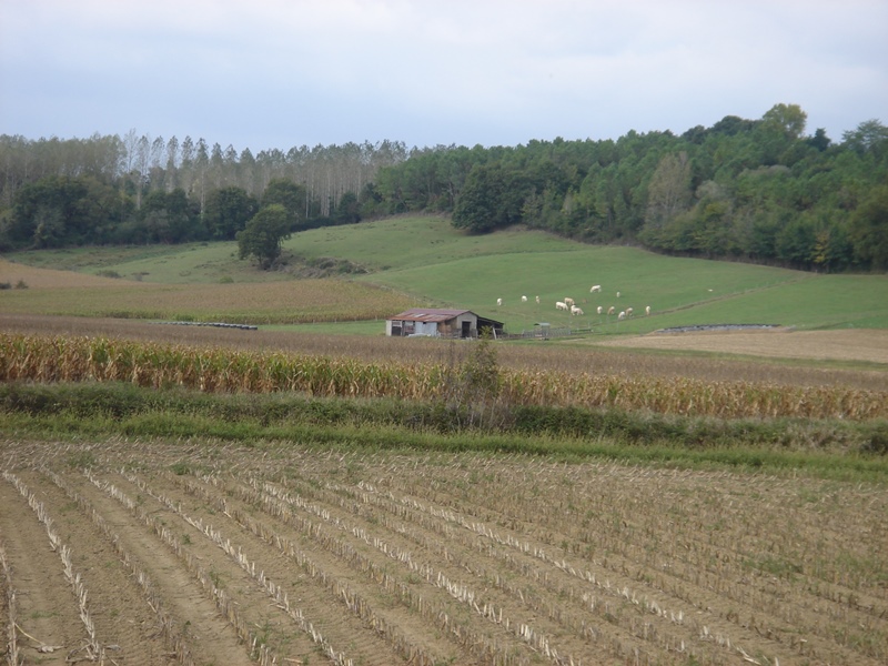 A Bastennes, circuit du Luy, Bastennes