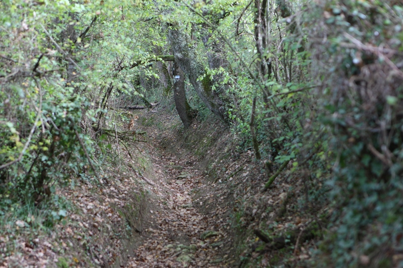 A Miramont-Sensacq, circuit de Saint-Jacques-de-Compostelle