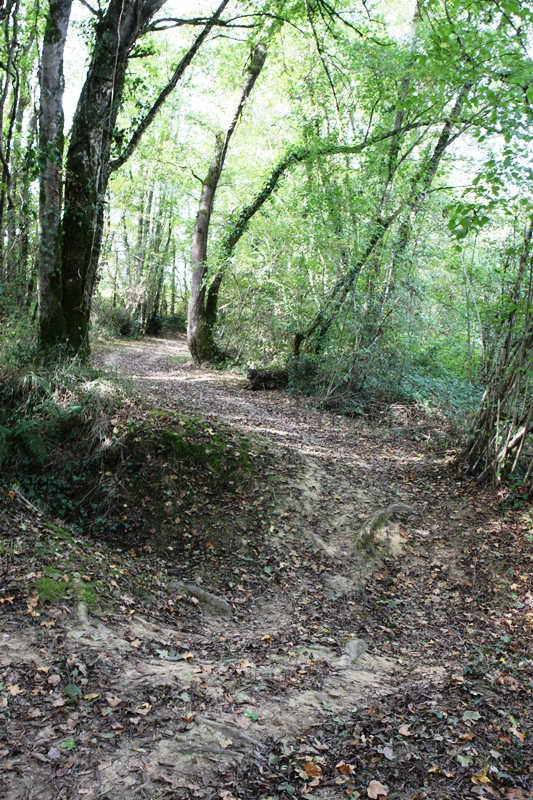 A Samadet, circuit du camp romain