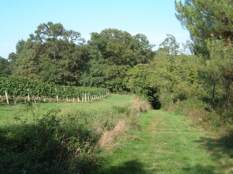 A Urgons, circuit des deux vallées, Urgons