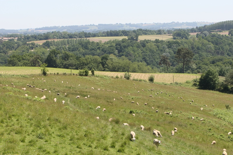 A Peyre, circuit par monts et par vaux
