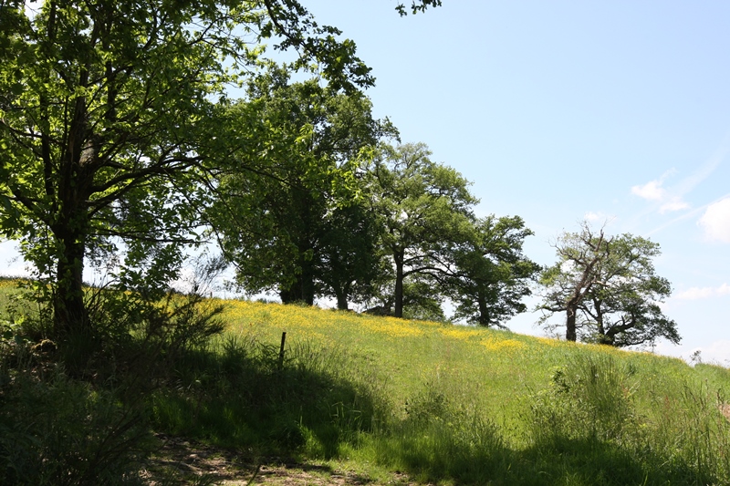 A Eyres-Moncube, circuit du Pouy de Montsoué et de la vallée du Gabas, Eyres-Moncube - photo 2