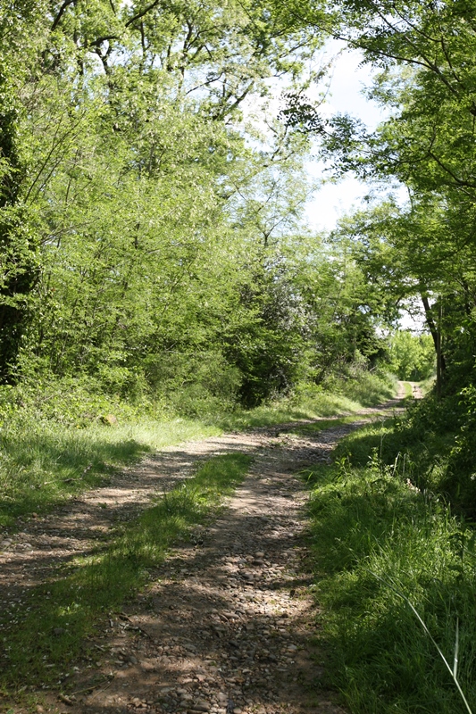 A Coudures, circuit de la vallée du Bas et du plan d'eau de l'Estéla