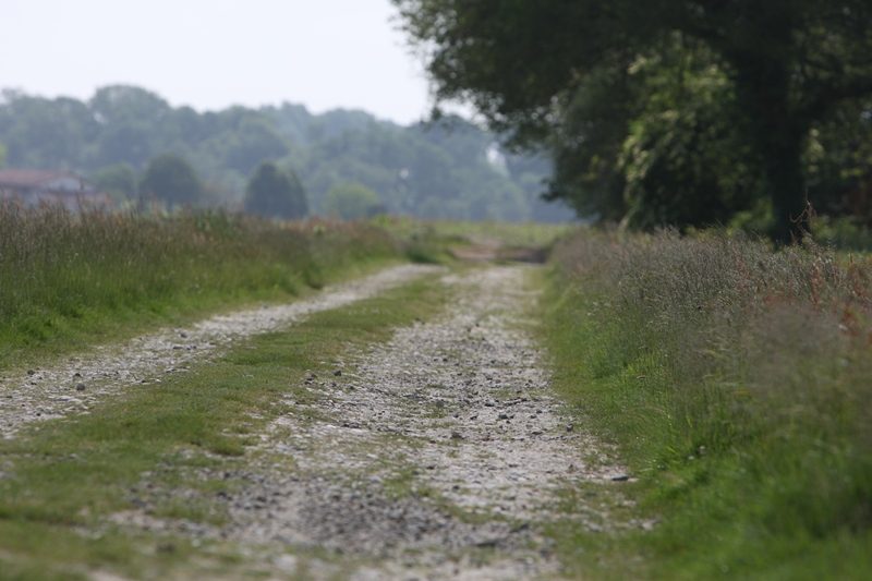 A Horsarrieu, circuit des Pyrénées