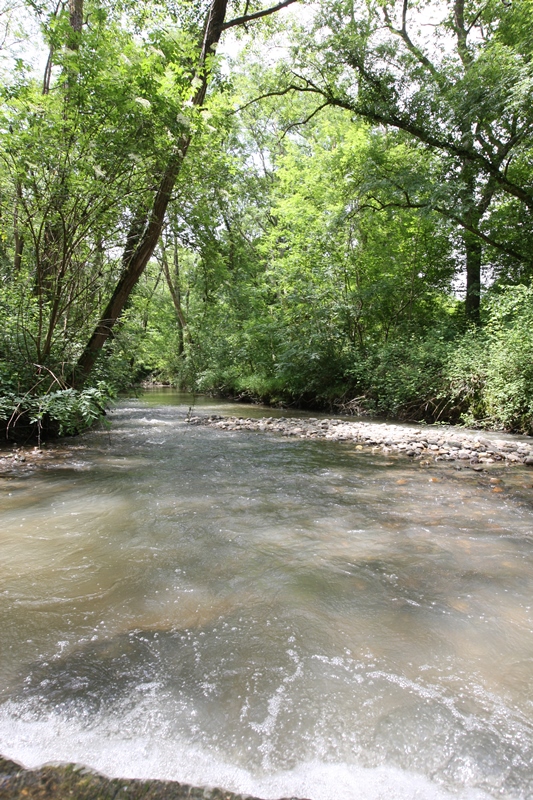 A Hagetmau, circuit des landes de Serres et du Louts