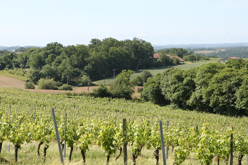 A Serres-Gaston, circuit de Lesgouarrigues